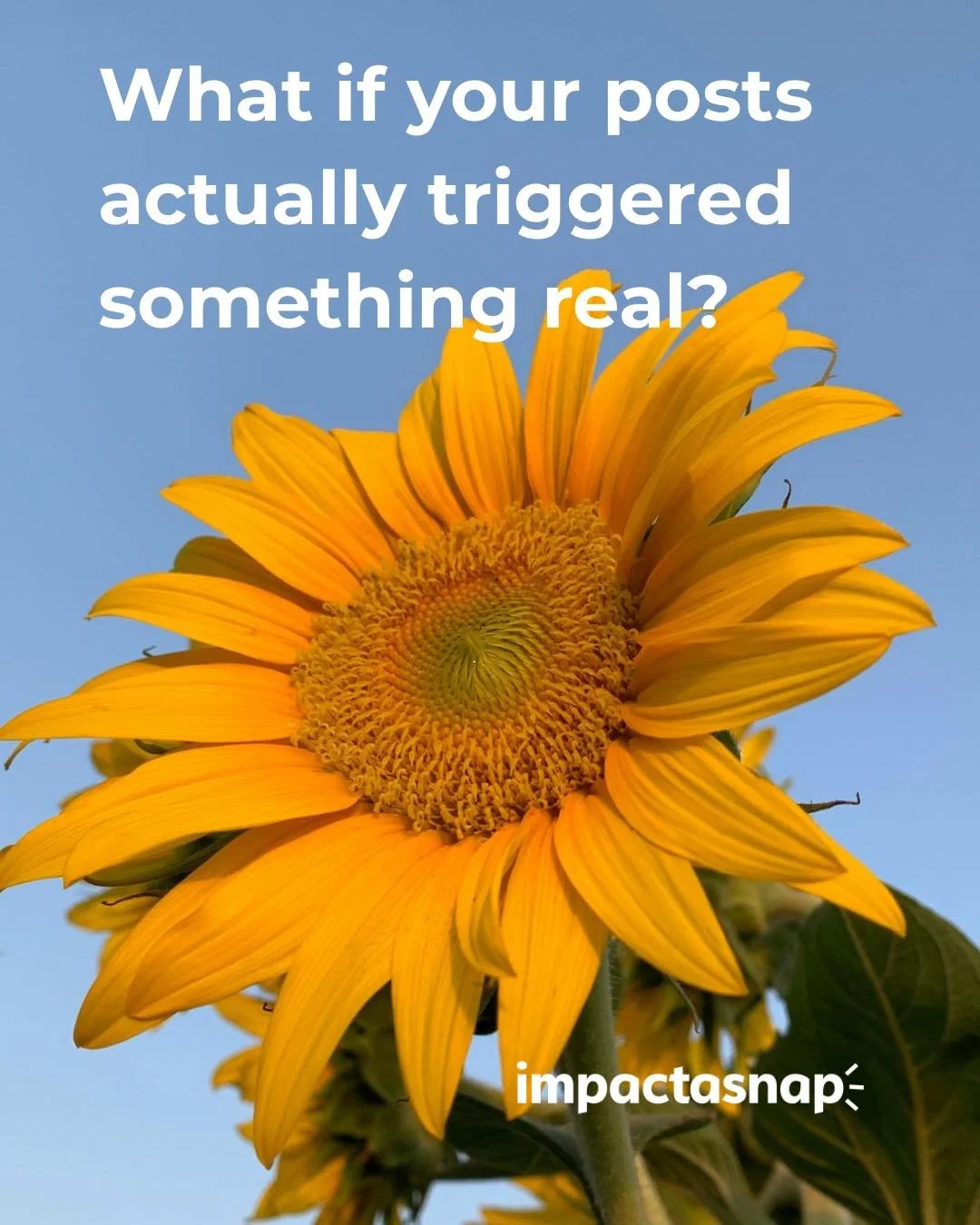 Not just attention.
Not just engagement.
Something real. 

With Impactasnap, your posts do more than just share content, they create real impact. When you join an Instagram activation, every post you make unlocks actual funds to nonprofits and meanin