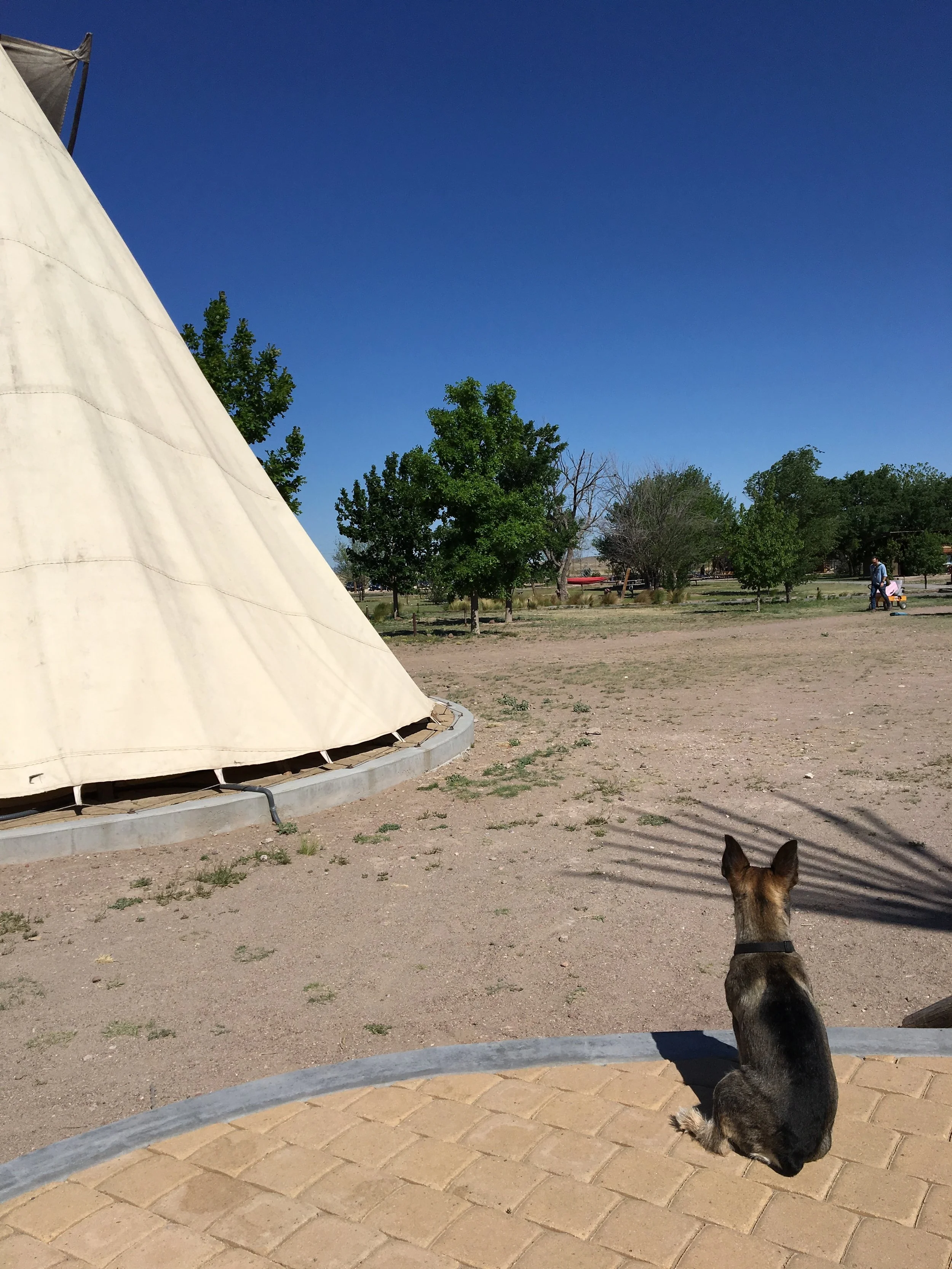 Boss keeping an eye out