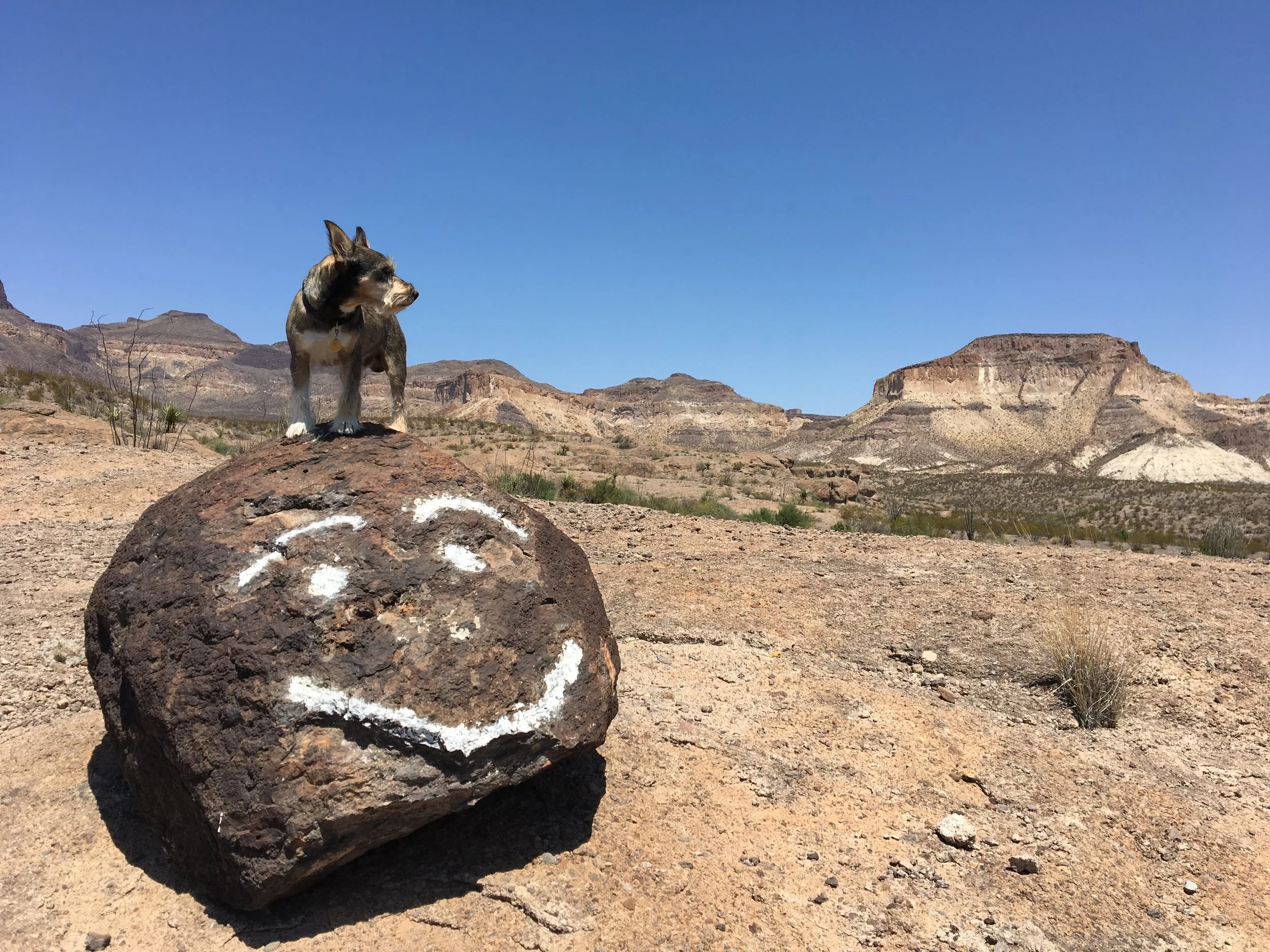 Driving down the border