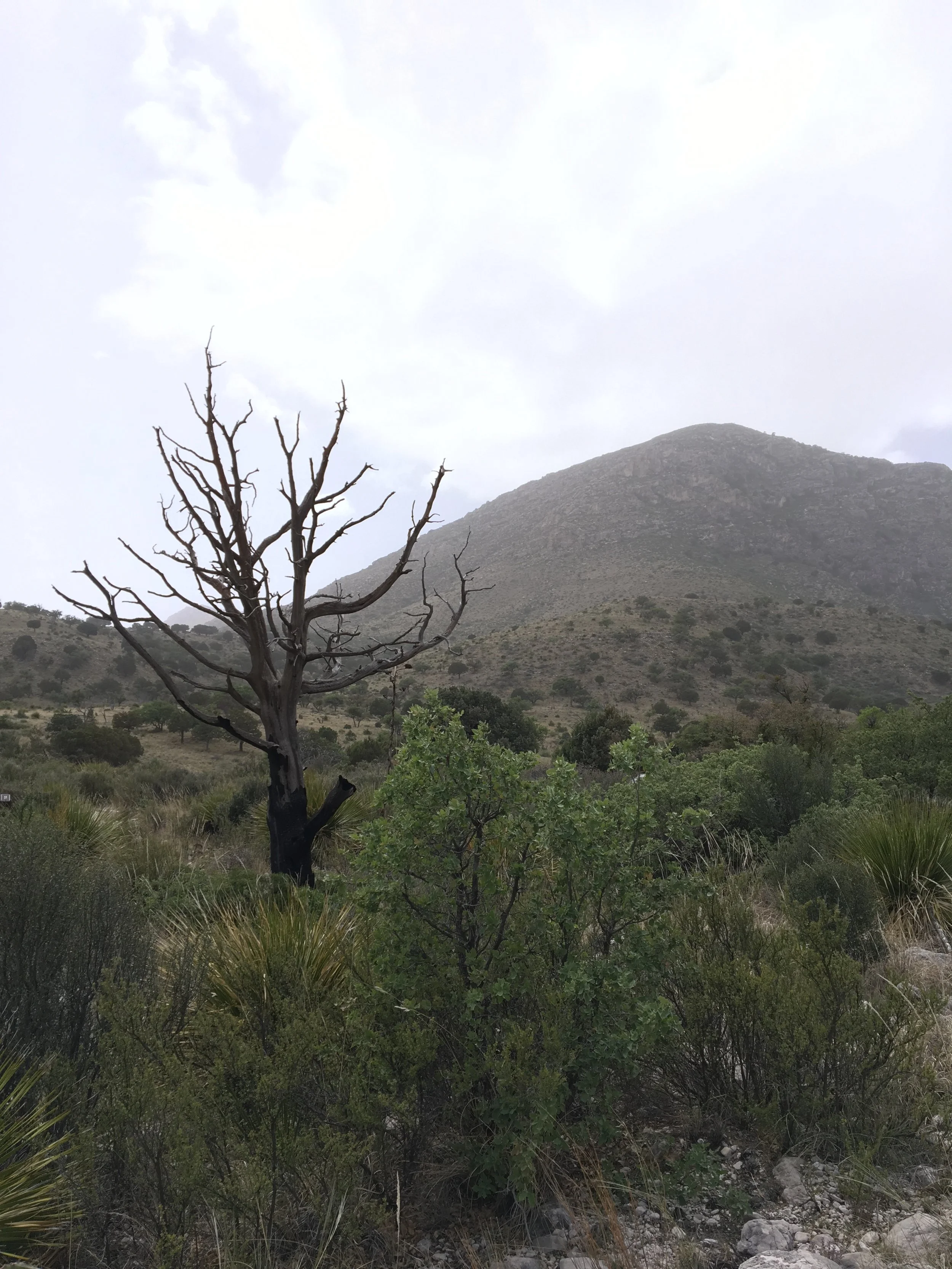 We venture into the mountains.