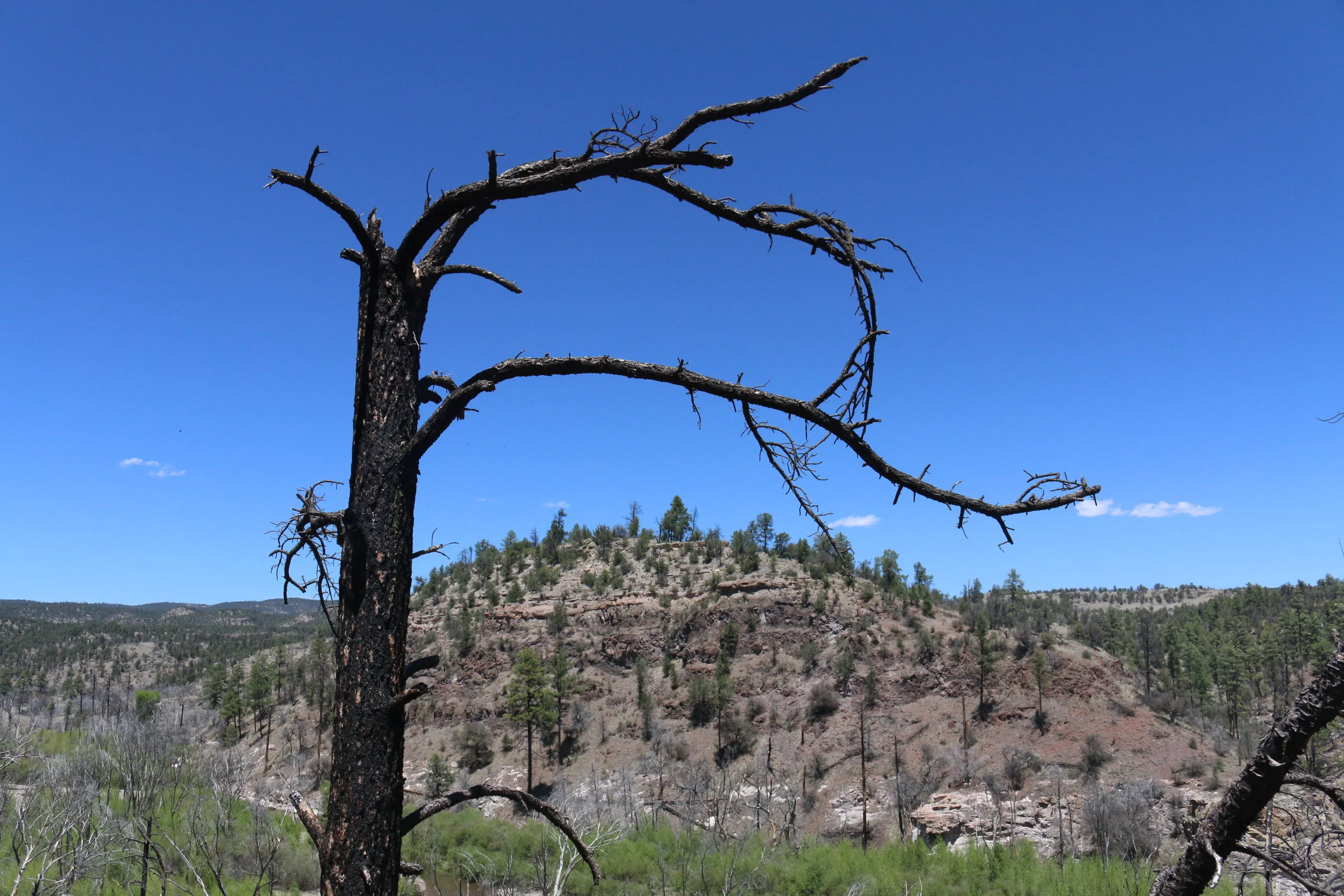 Gila National Monument