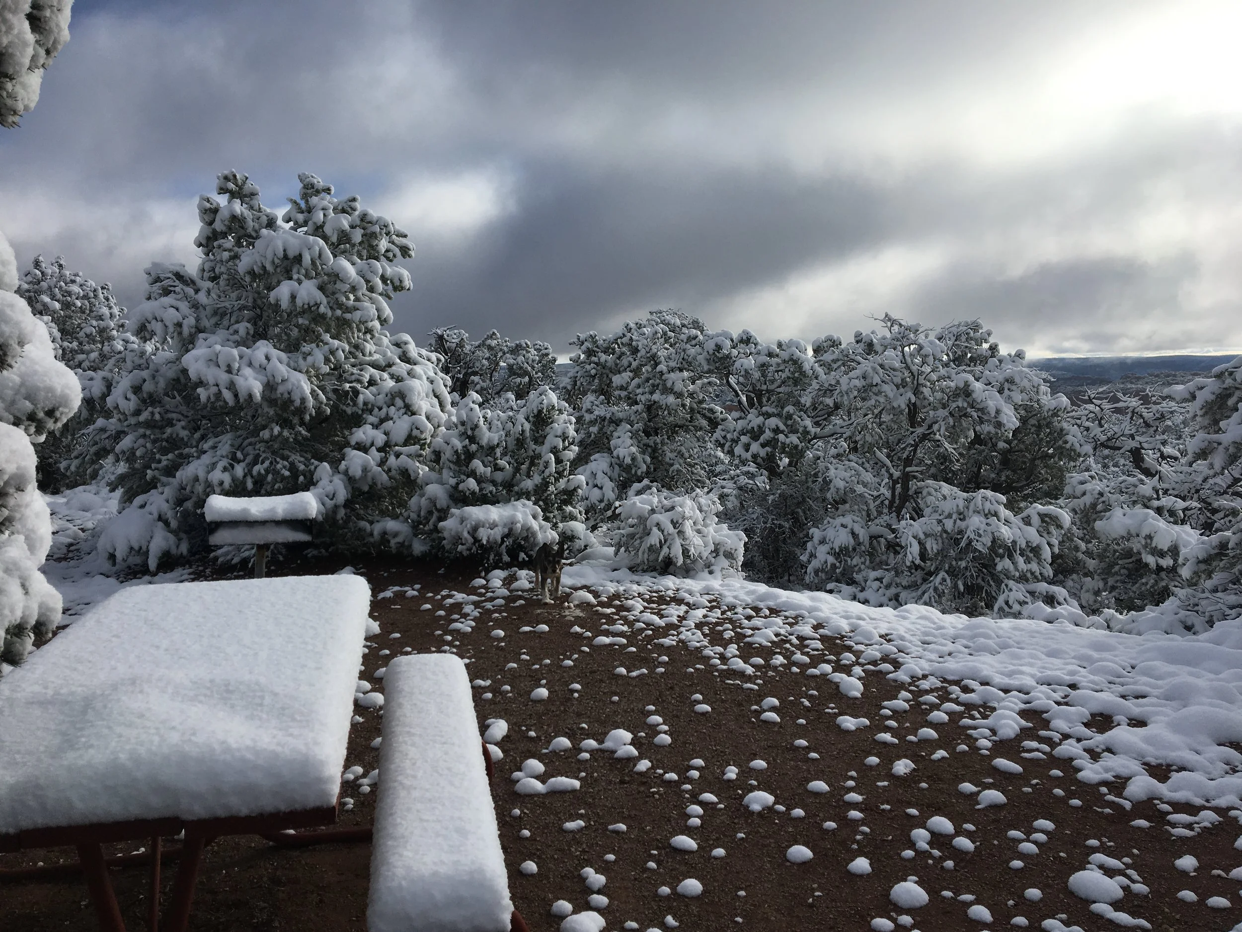 Campsite in Monument Valley