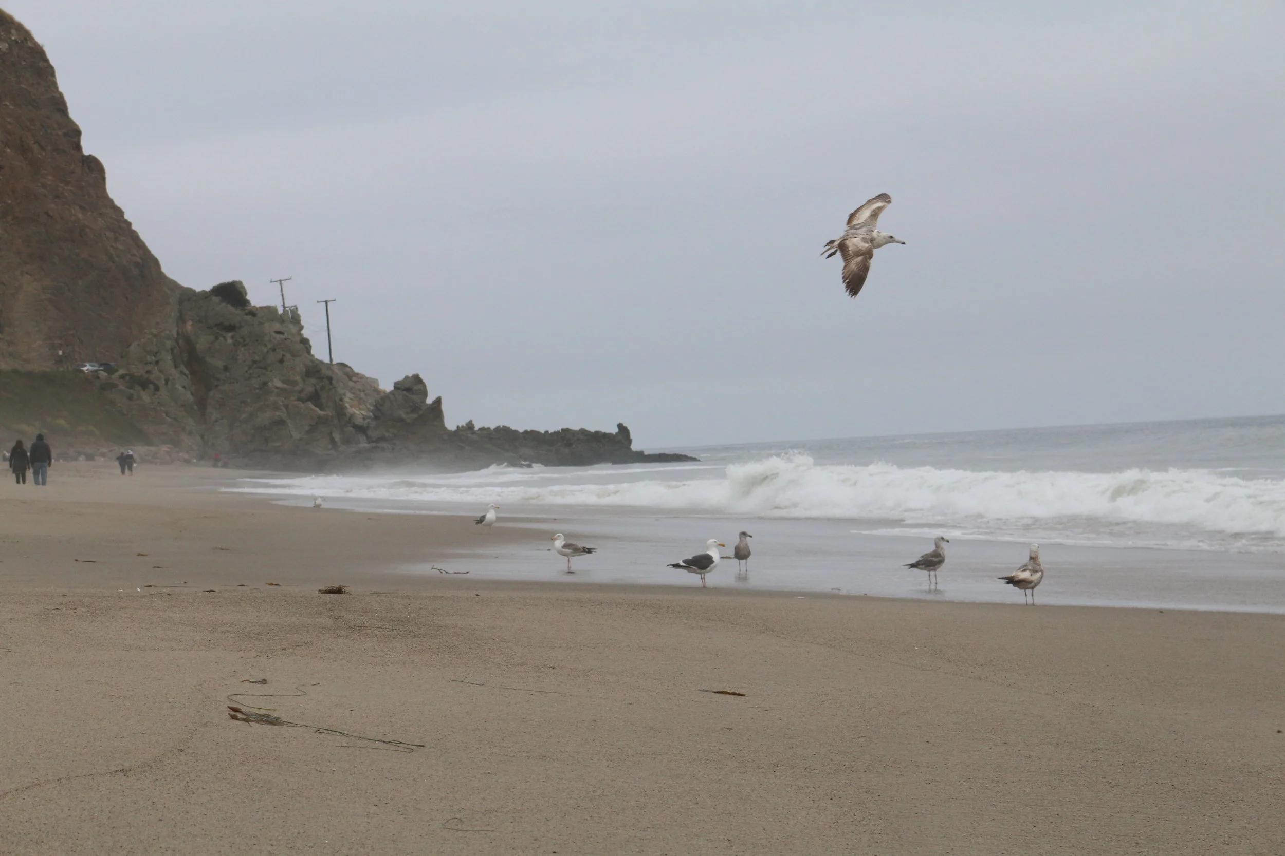 Outside Santa Monica