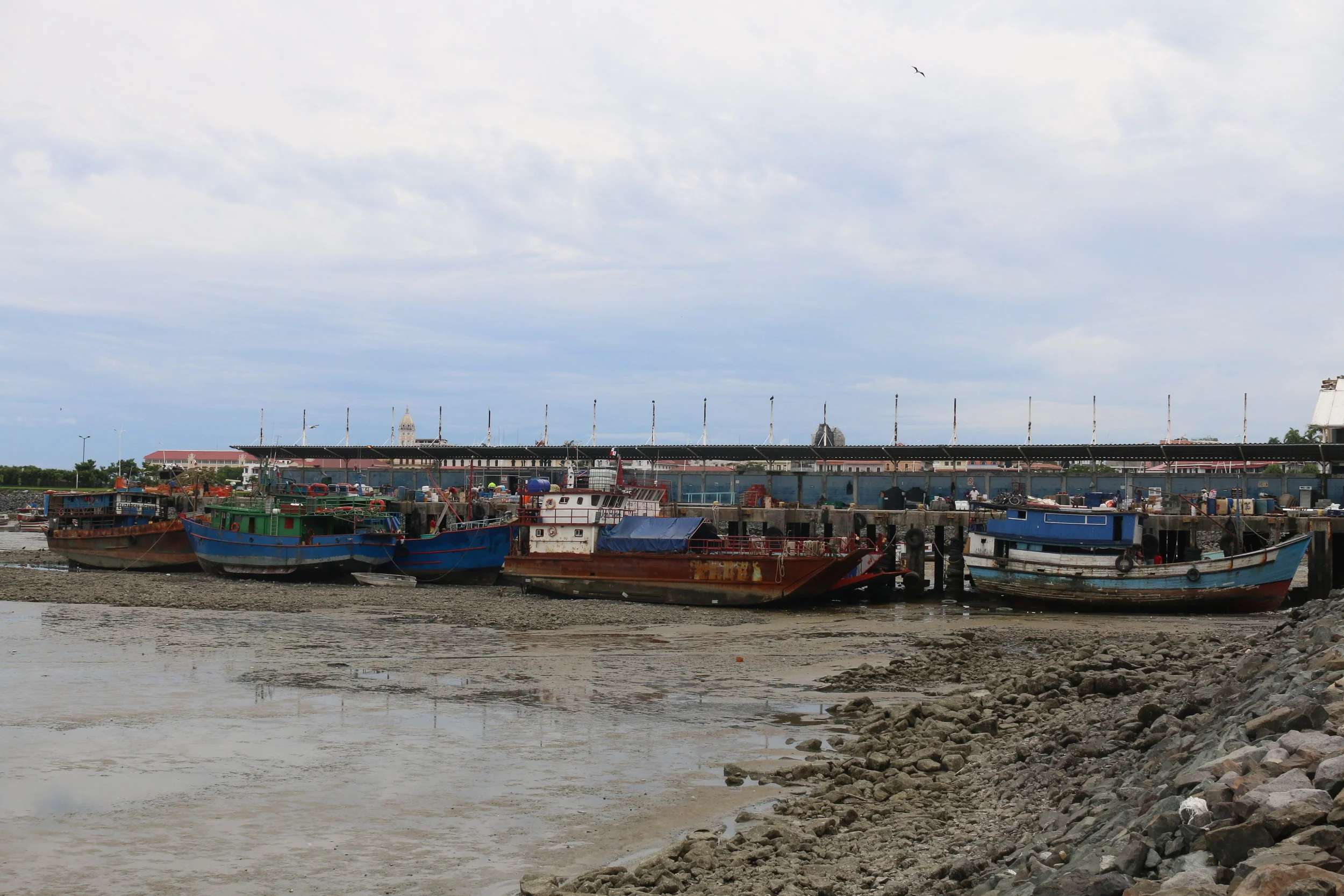 Panama City fish market