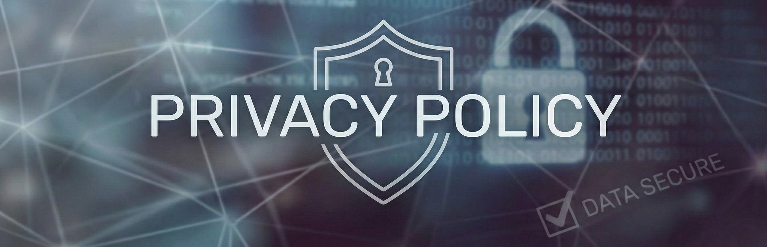 Digital illustration of a screen with the words 'Privacy Policy' inside a shield icon, a lock symbol, and a checkbox labeled 'Data Secure' over a background of binary code and interconnected lines.