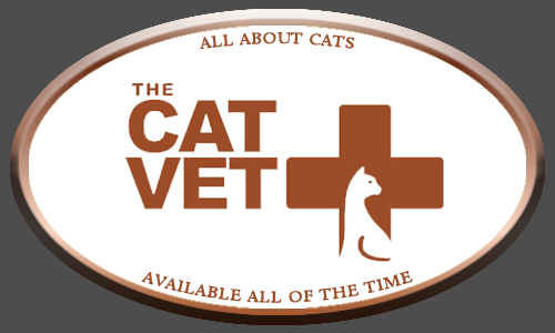 The Cat Vet Christchurch - 93 Bealey Ave