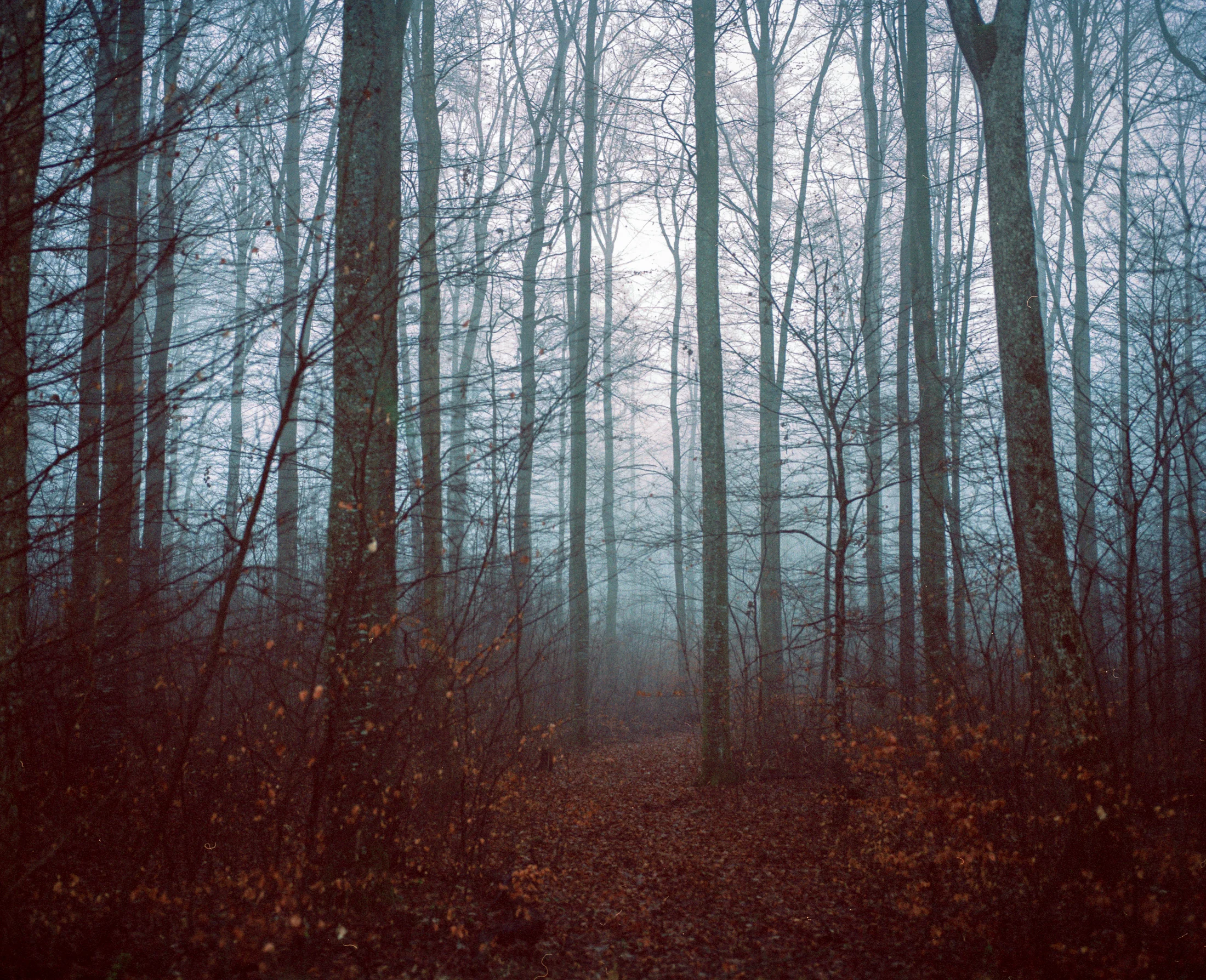 AlbDraußen_Danny_Schreiber-5.jpg