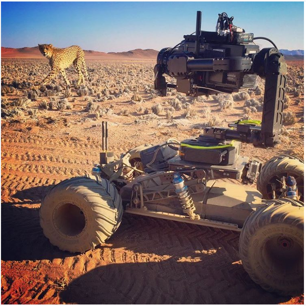 NEWTON-on-rc-car-with-cheeta.png