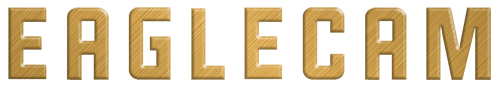 Eaglecam Text Logo