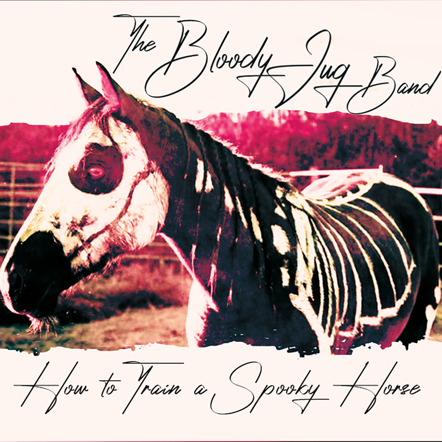 Merch — THE BLOODY JUG BAND