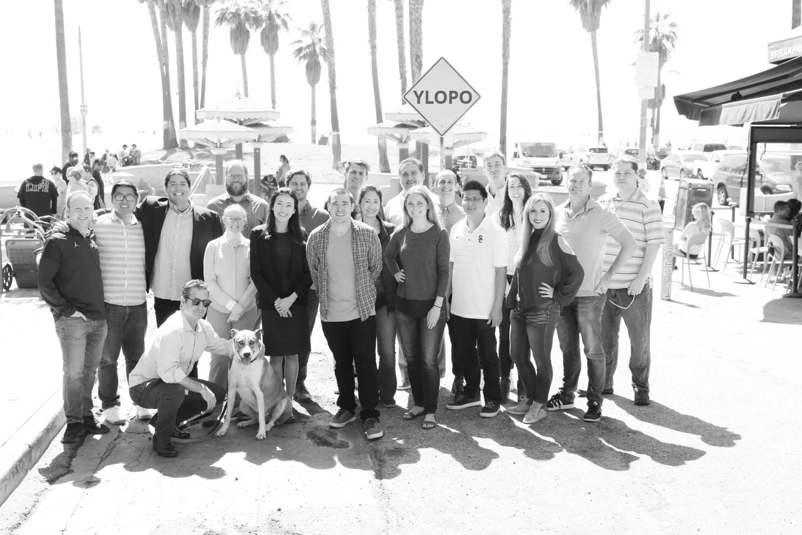 Team-Ylopo.jpg