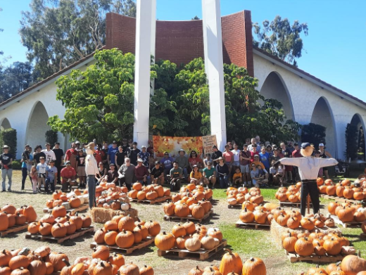 PUMPKIN UNLOAD DAY
