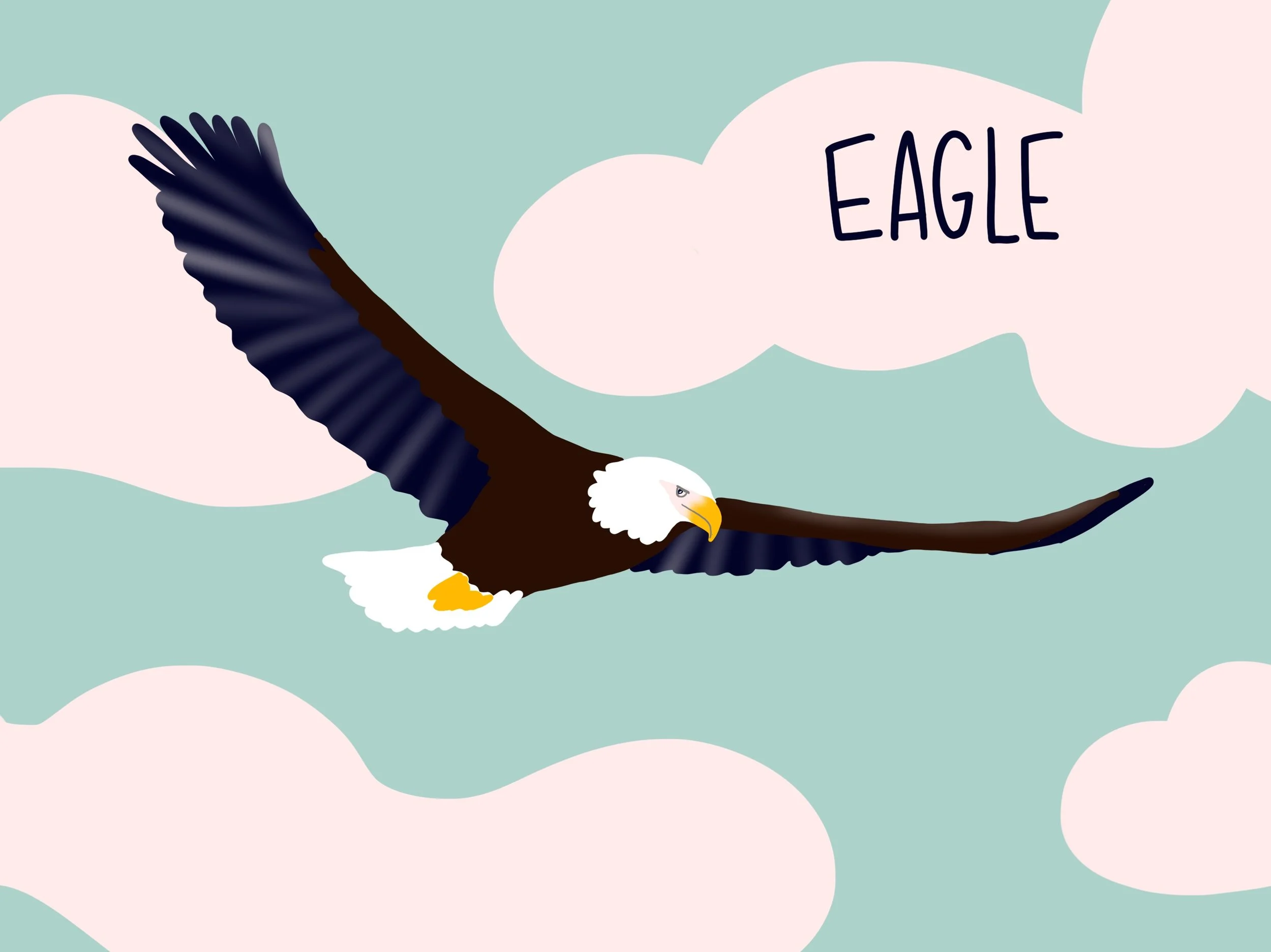 Eagle_DS 2.jpg