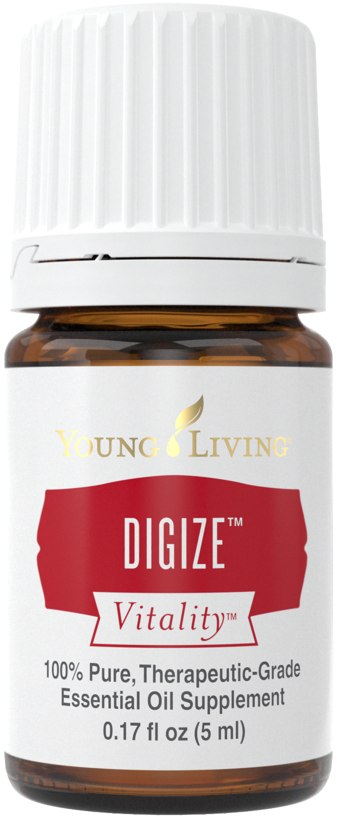 DiGize Vitality.png