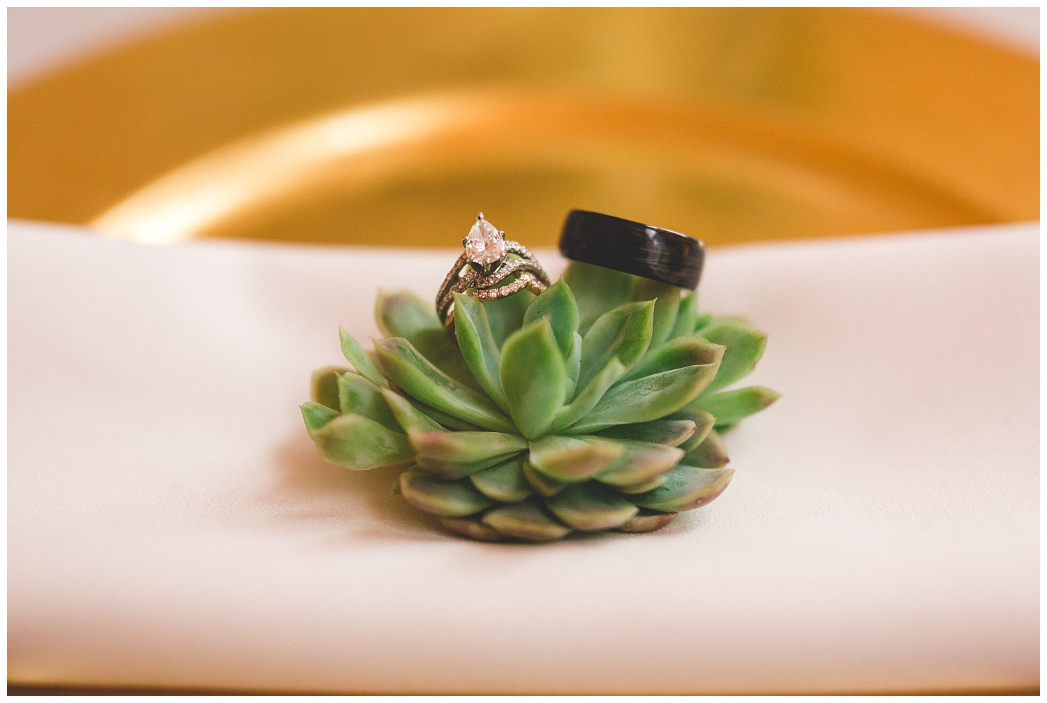 Highlight Studios Photography (95).jpg