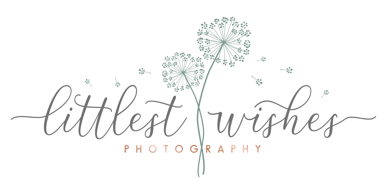 Littlest Wishes Photography
