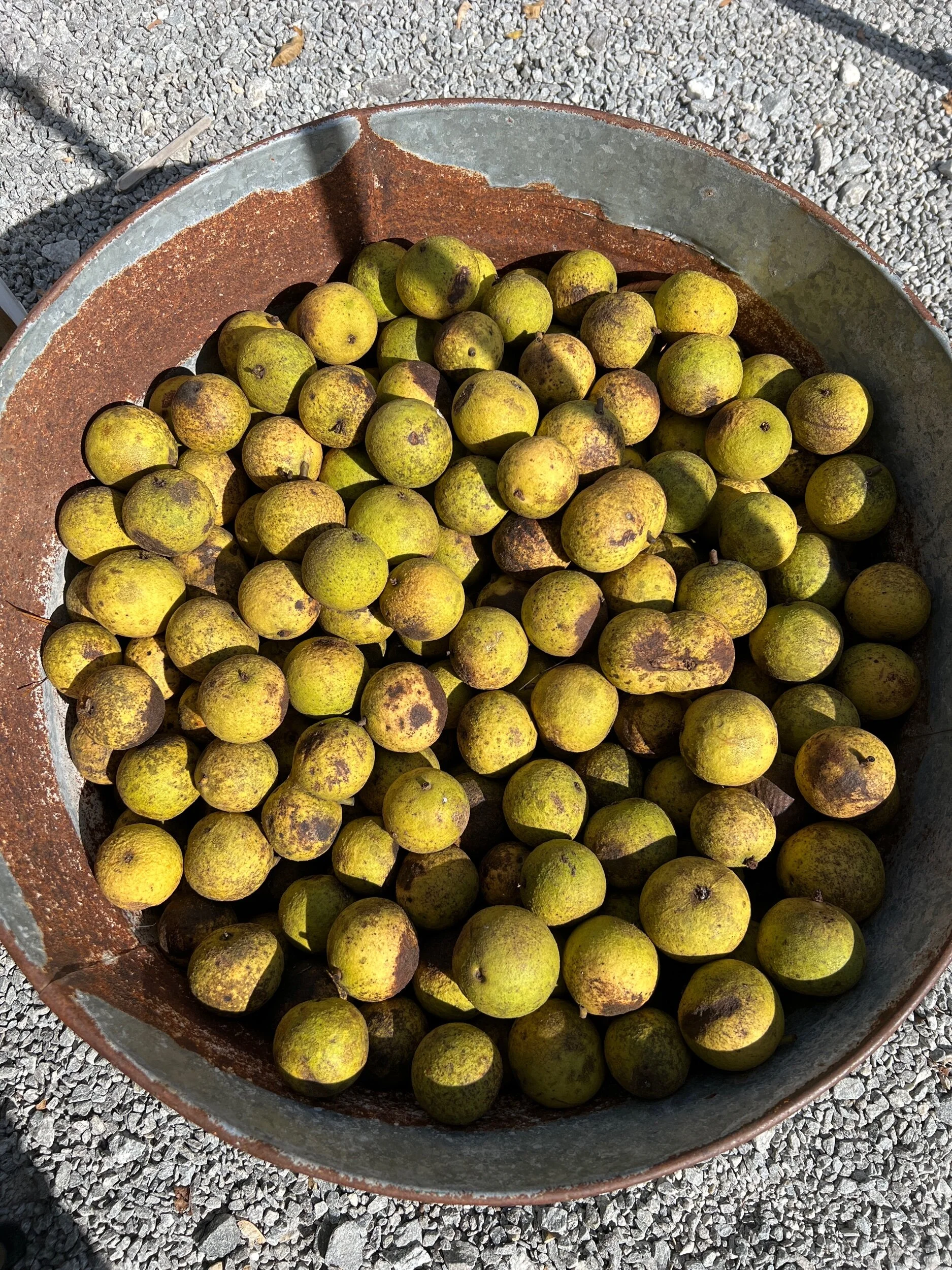 FC3D29D7-A139-4393-A846-03B9F05FE5FB