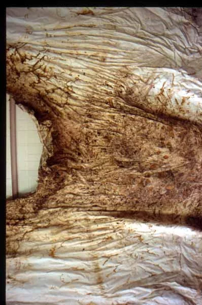 Shroud No. 1 detail