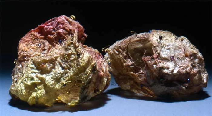 Detail of two of the Seeds