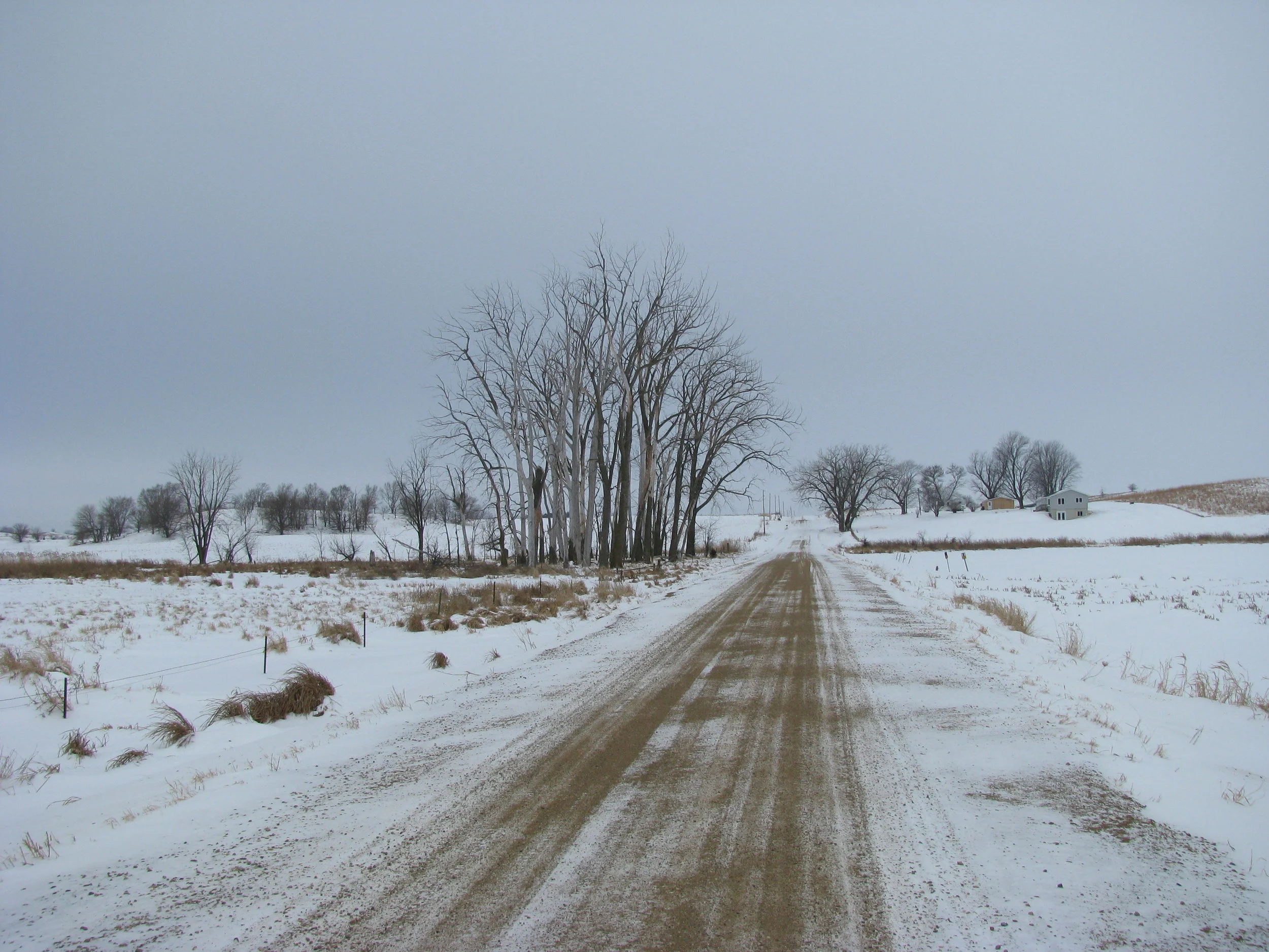 Marsh January 2011.jpg