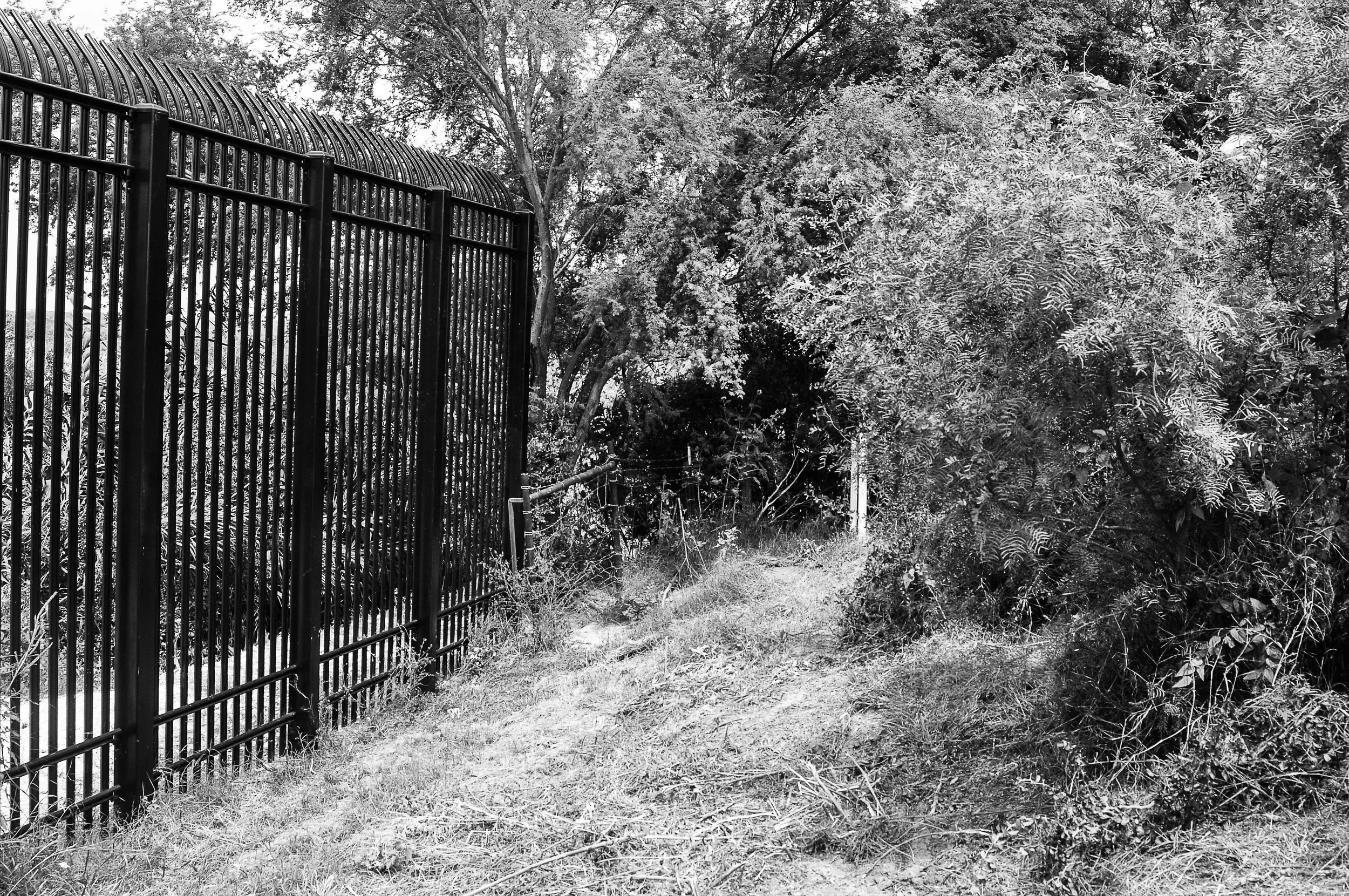 Fence.jpg