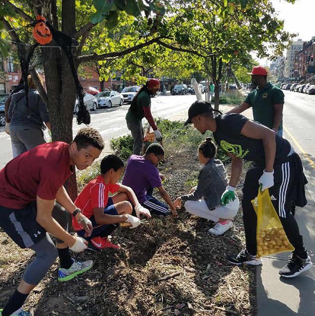 Major Thank You To @mmpcia @wholefoods Harlem &amp; @urbangardencenter For All The Support &amp; Commitment To Community.
.
Thank You To Everyone You Volunteered Time &amp; Effort To Another Successful #GreenerLenox This Past Weekend. Thank You For H