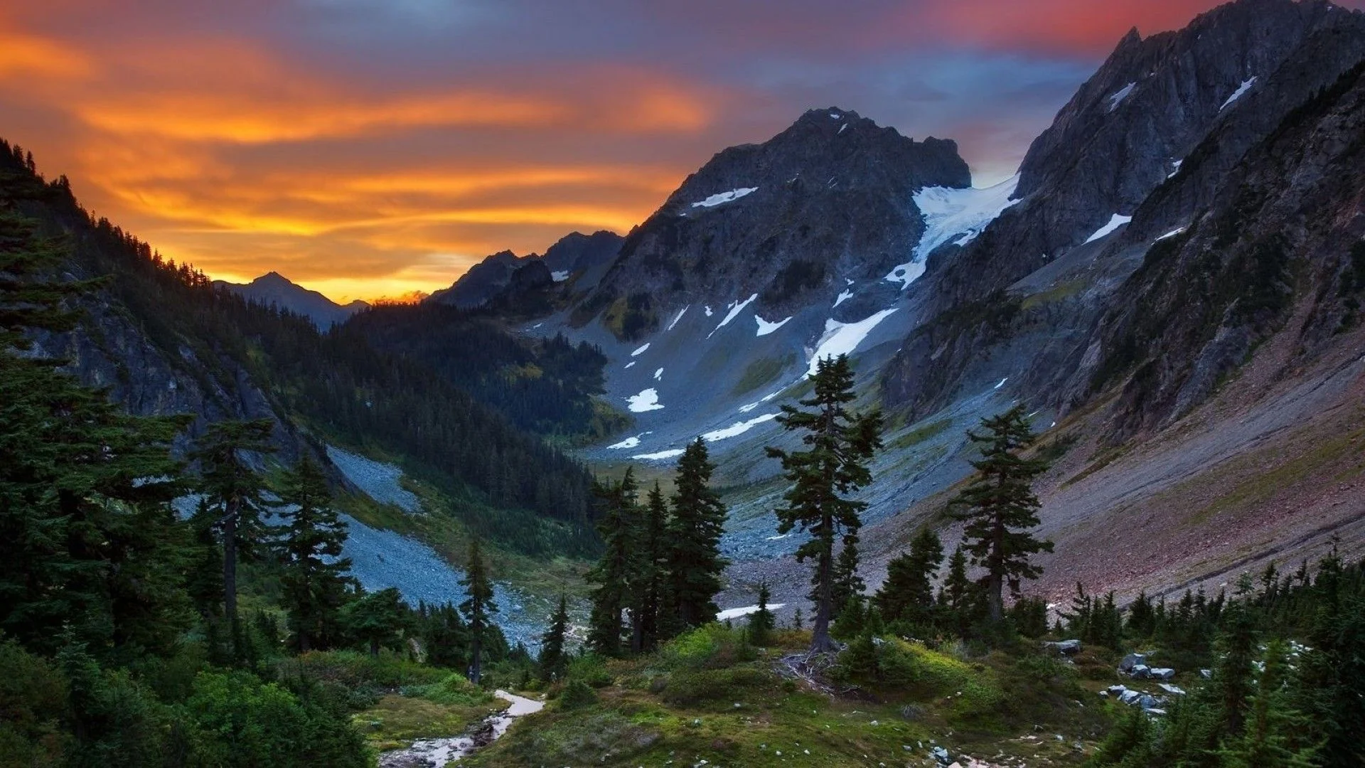 Washington State.jpg