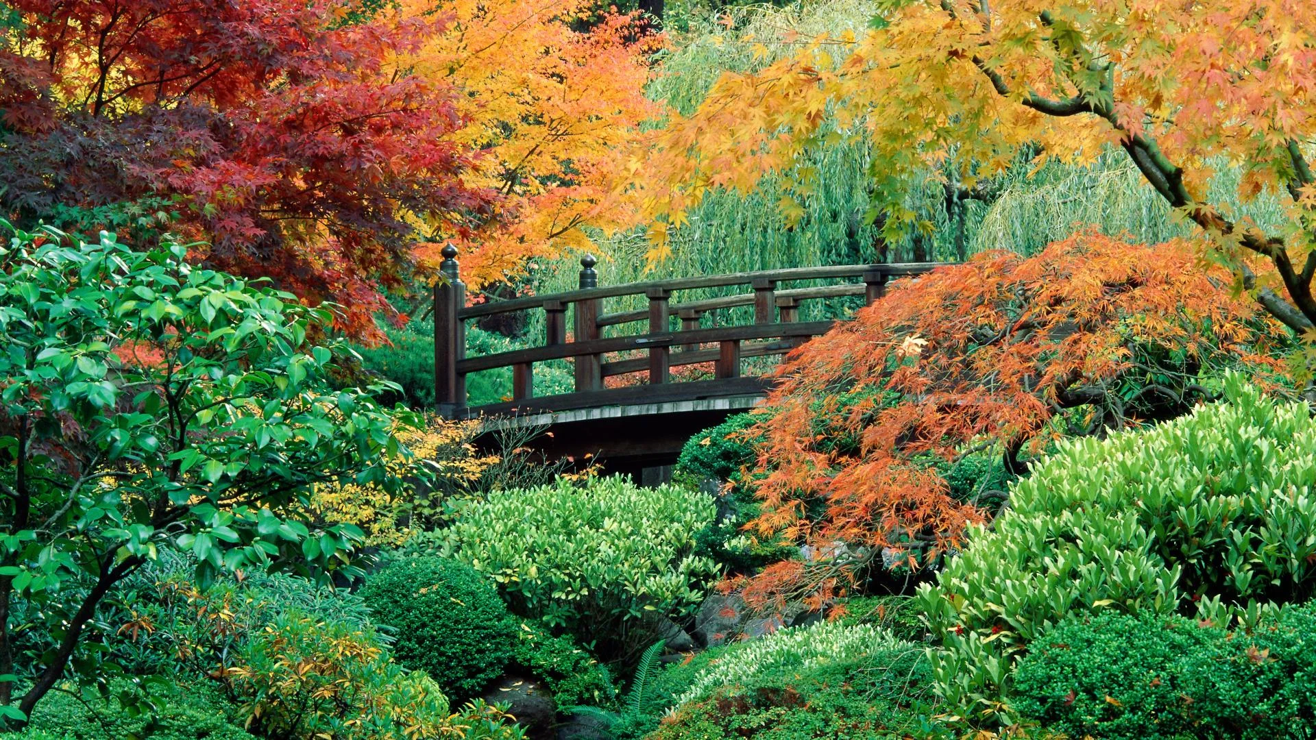 Bellevue Garden.jpg