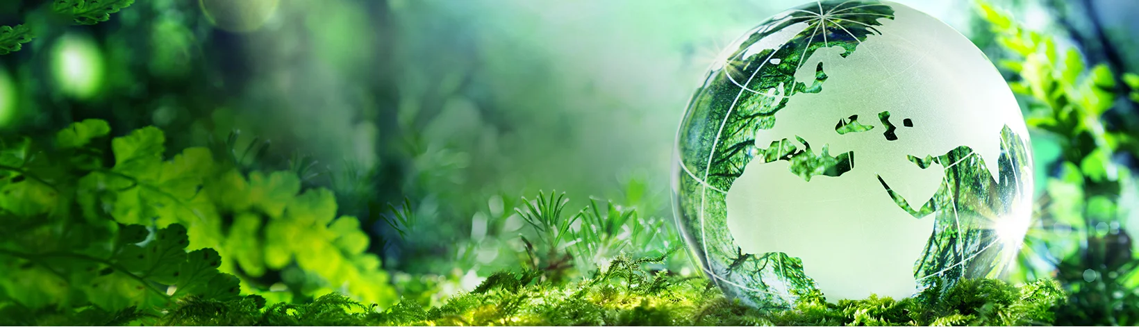 Green Cleaning in Seattle.jpg