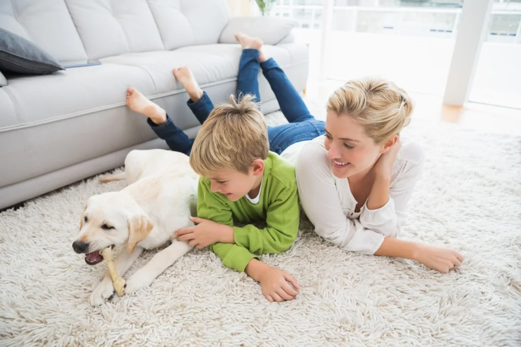 Advantages of a Professional Carpet Cleaning Services in Seattle