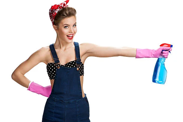 Leave it to the Cleaning Lady: Sparkly Maid