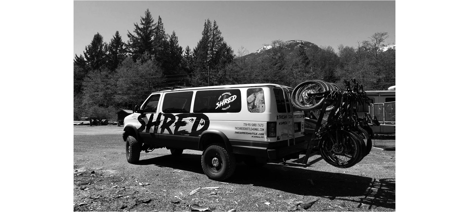 shreddy.jpg