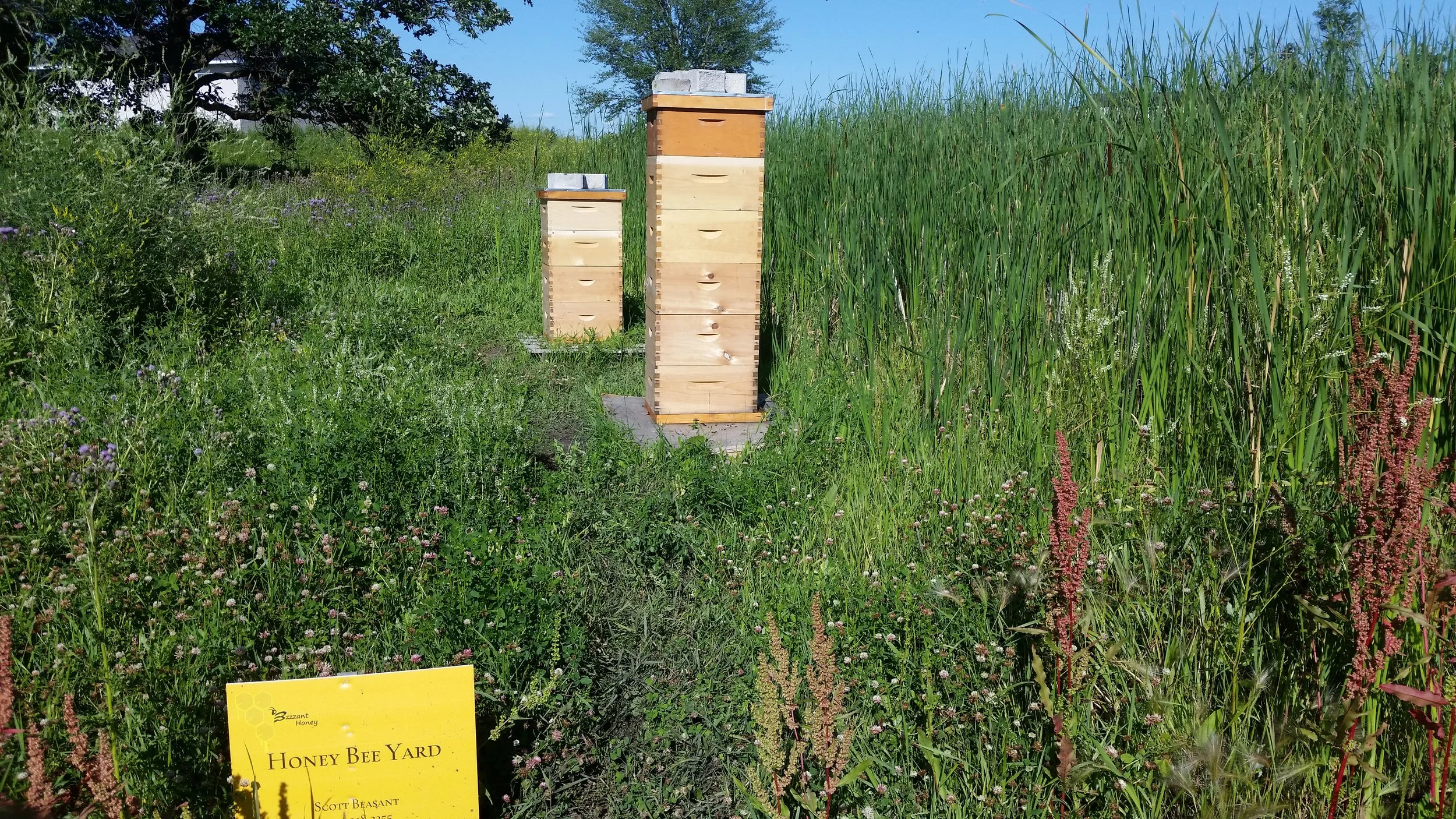 20160715_173515.jpg