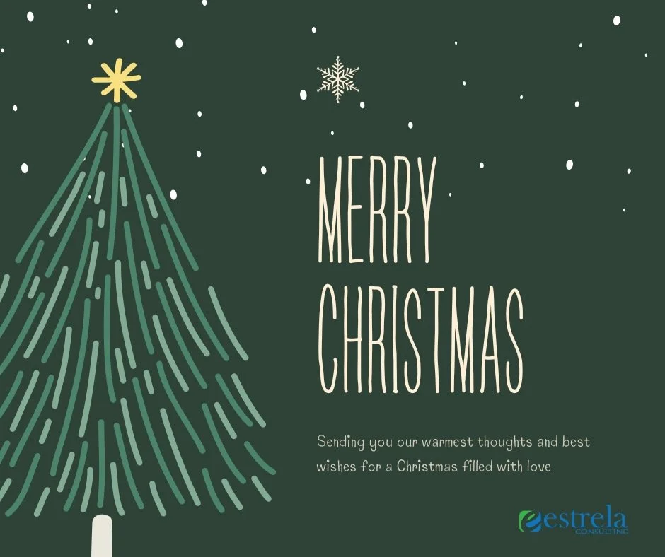 The Estrela team wishes you and your family a very Merry Christmas 🎄🎁❤️

#merrychristmas #christmas #christmasmagic