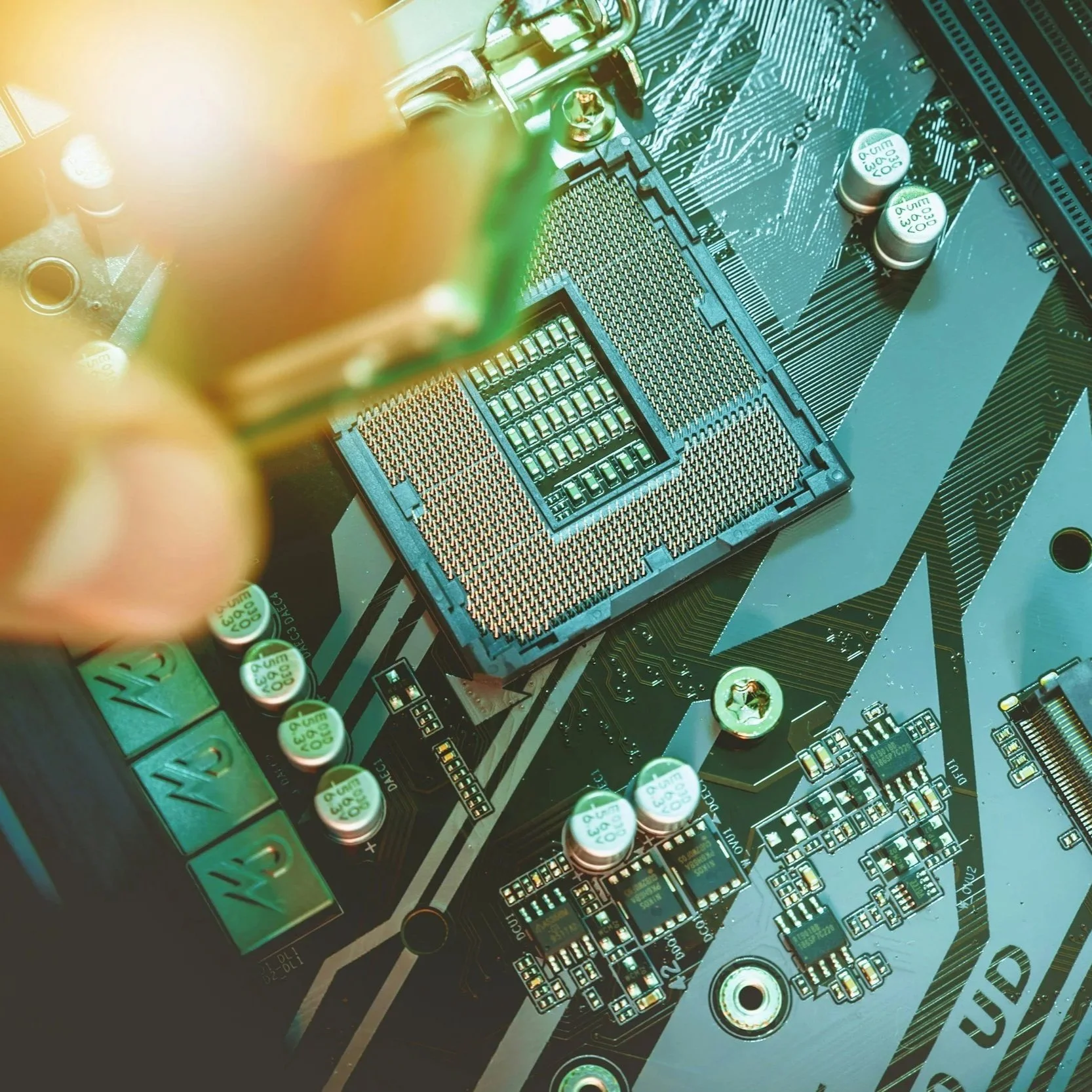 Stop Being the IT Project Manager for Your Business