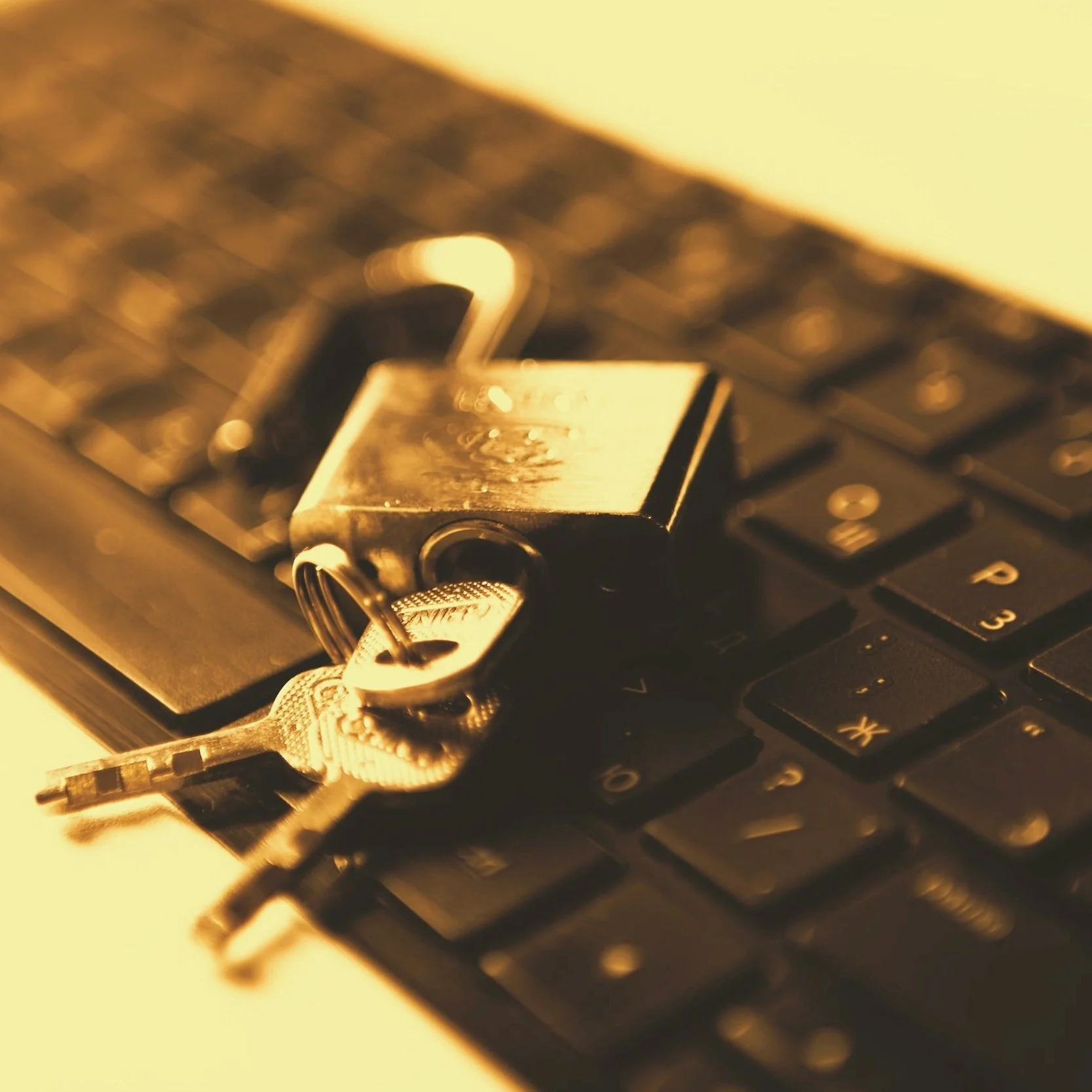 Local Business Owners: Don’t Hand Your Keys to Criminals