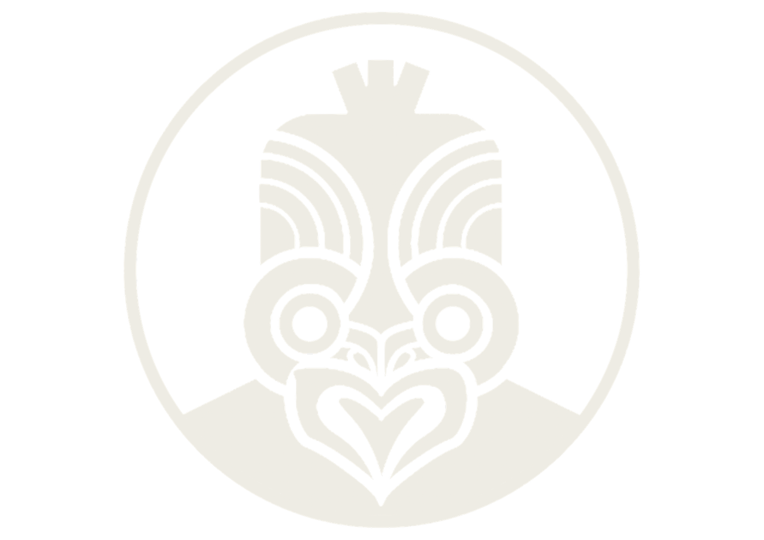 Governance Training Programme for Rangatahi — Te Whare Hukahuka