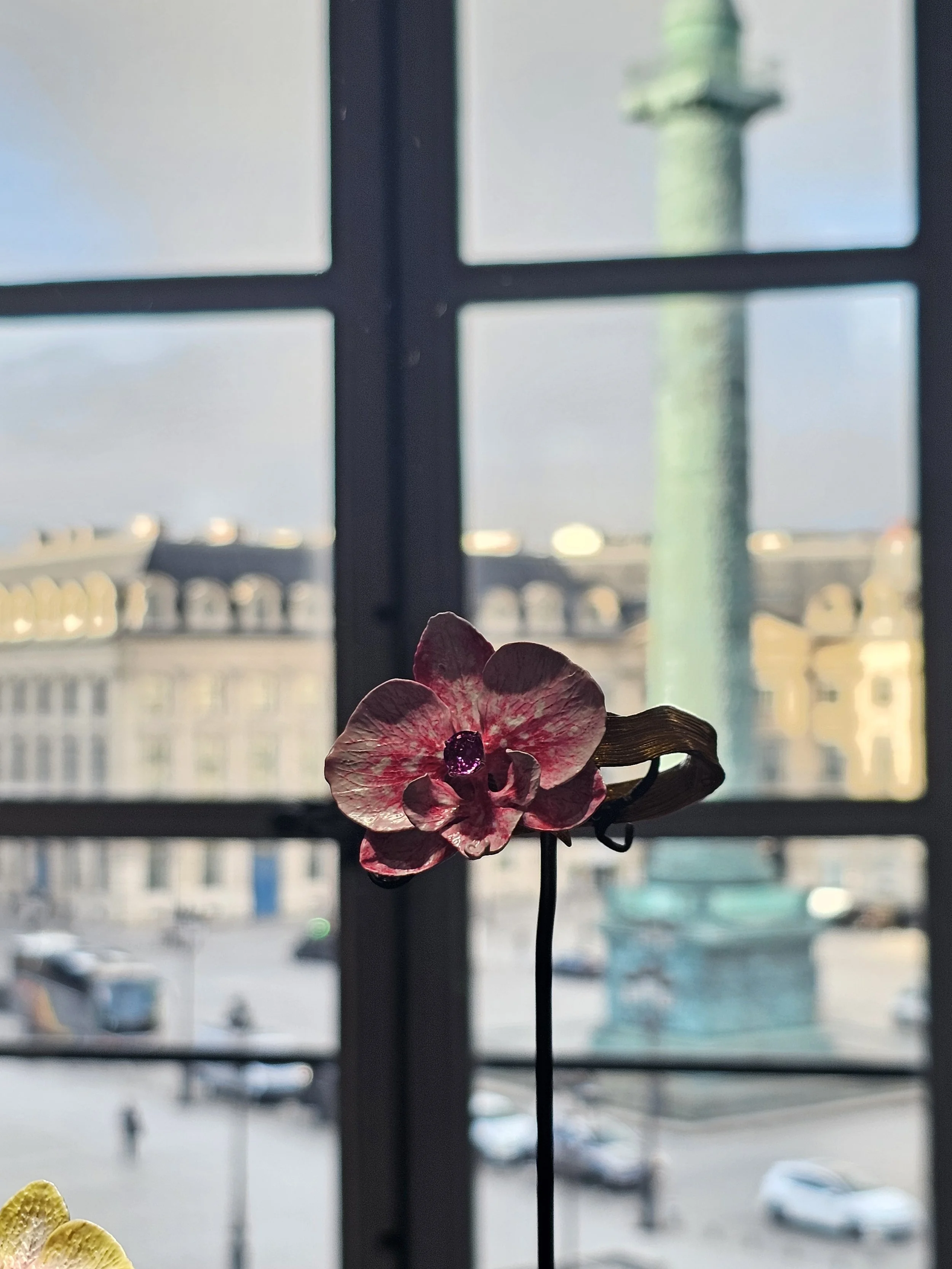 2026-01-26 10.18.00.jpg