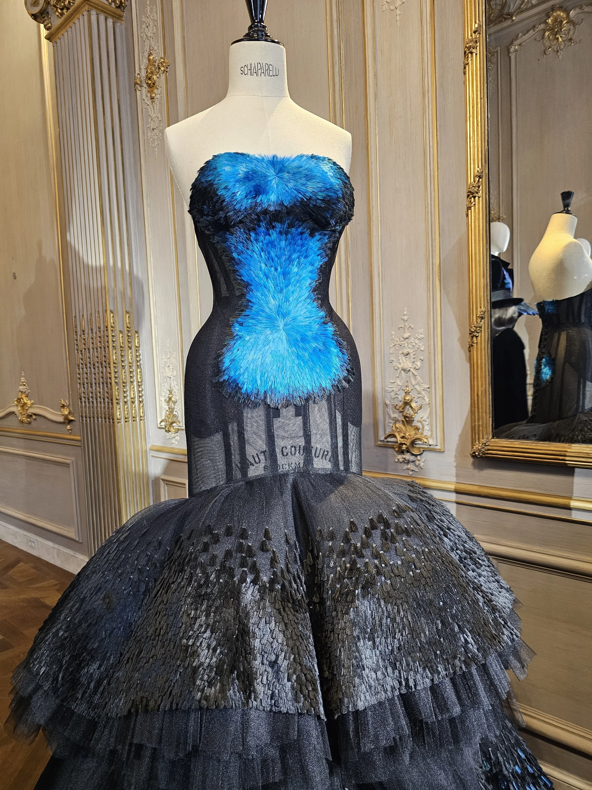 2026-01-27 11.11.35.jpg