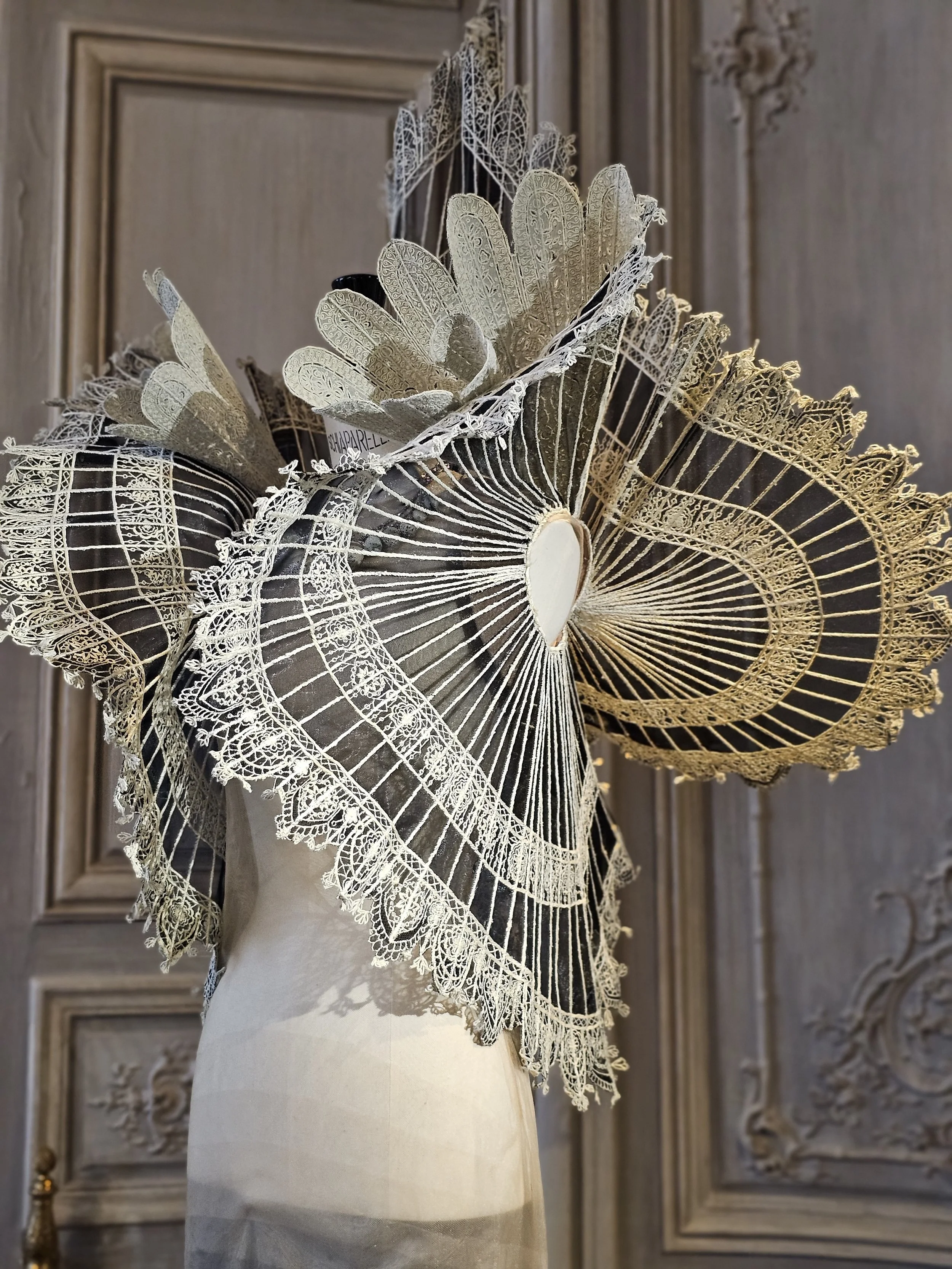 2026-01-27 11.49.25.jpg