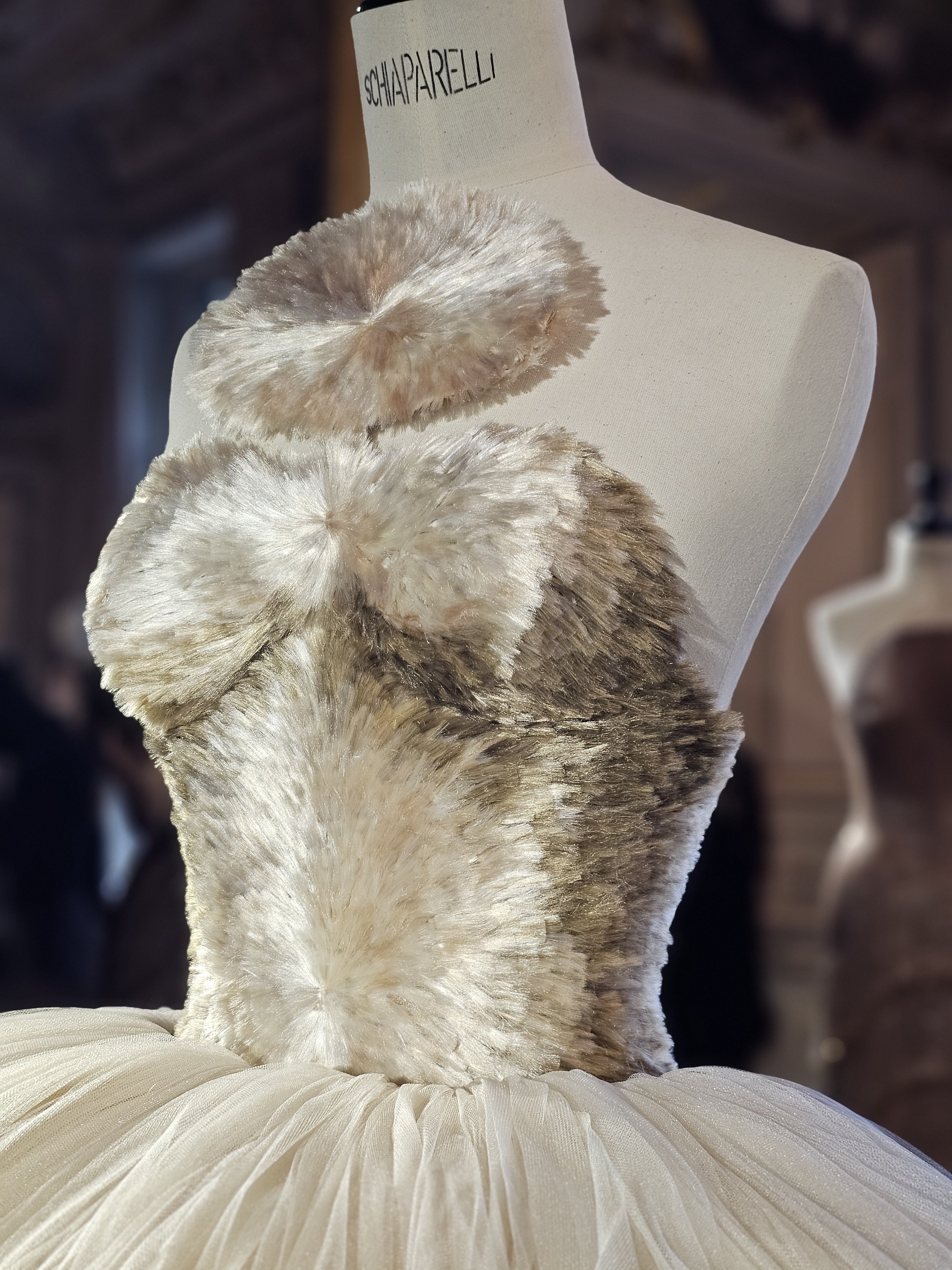 2026-01-27 11.16.42.jpg