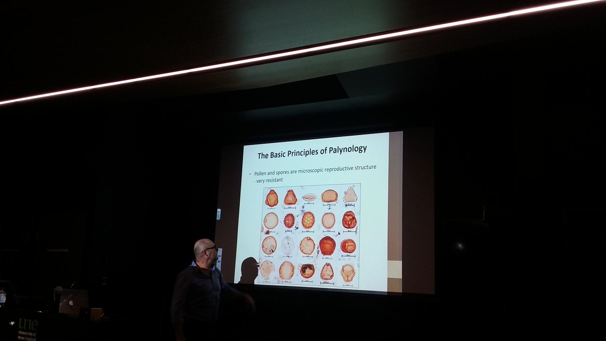 palynology.jpg