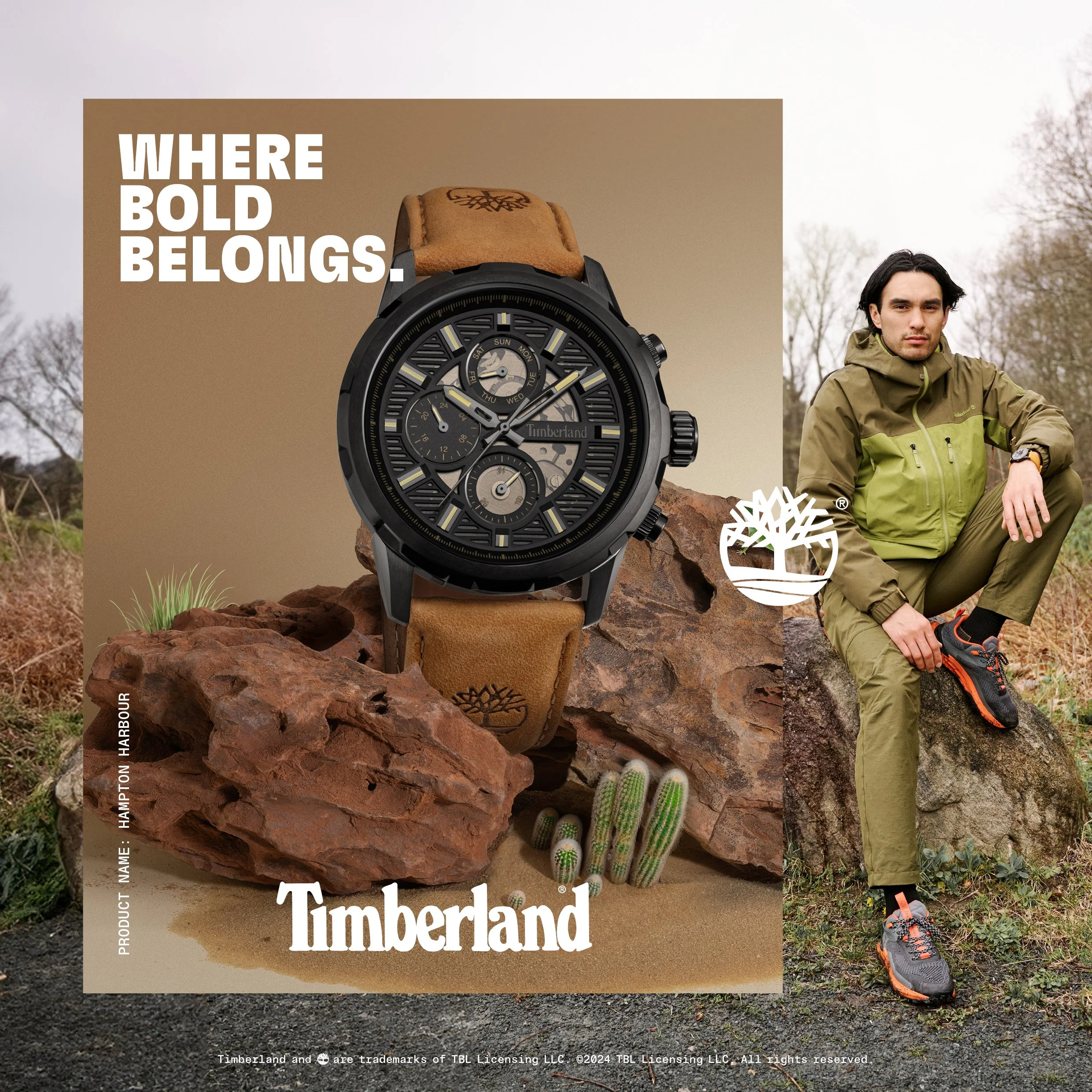 HAMPTON HARBOUR - TDWGF00561012.jpg