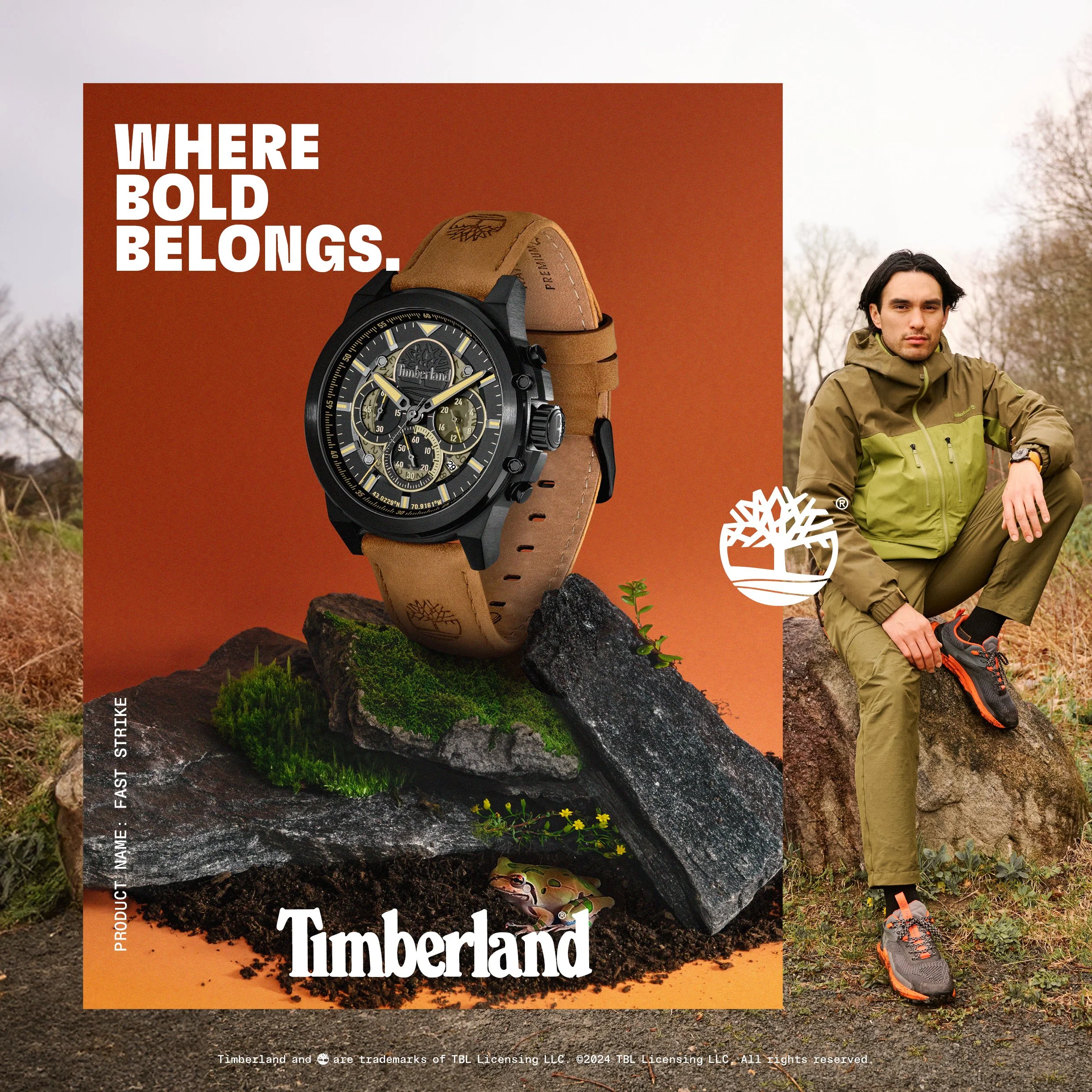 FAST STRIKE - TDWGB00560032.jpg