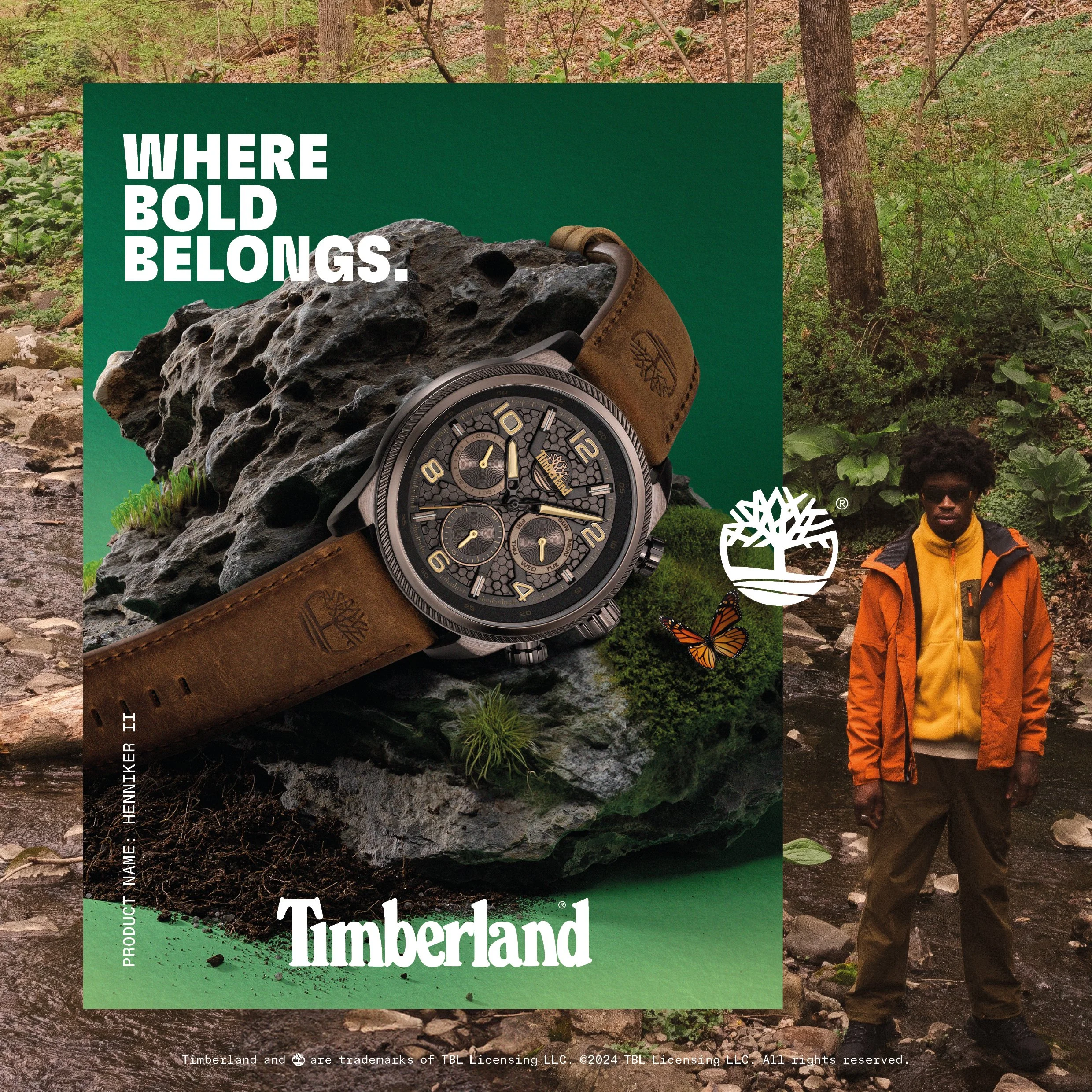 HENNIKER II - TDWGF00287062.jpg