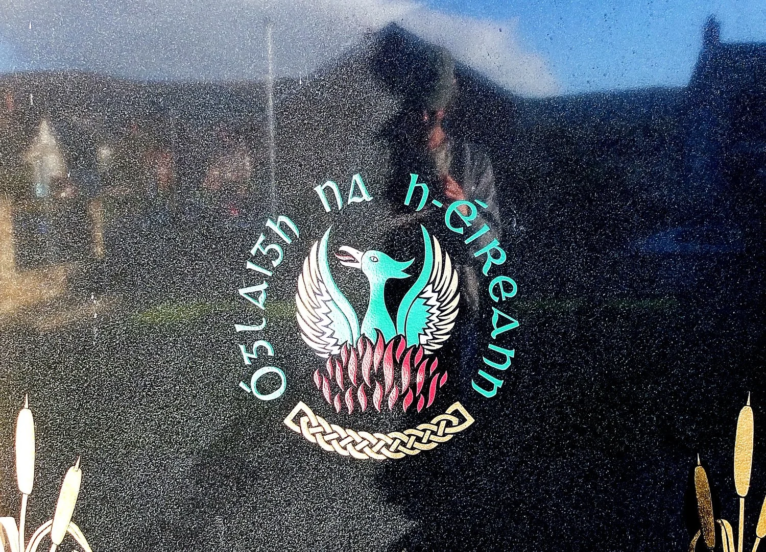 DSCF0205.jpg