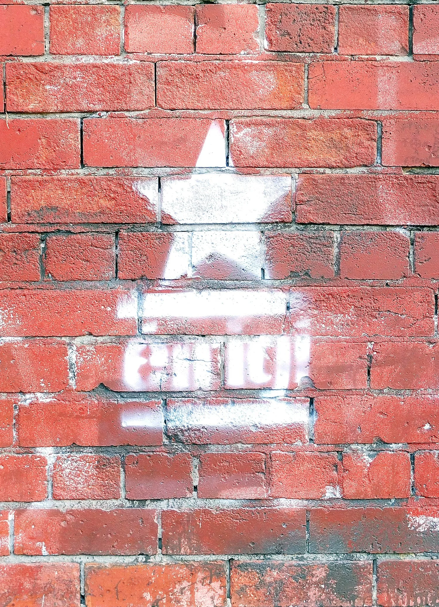 DSCF0224.jpg