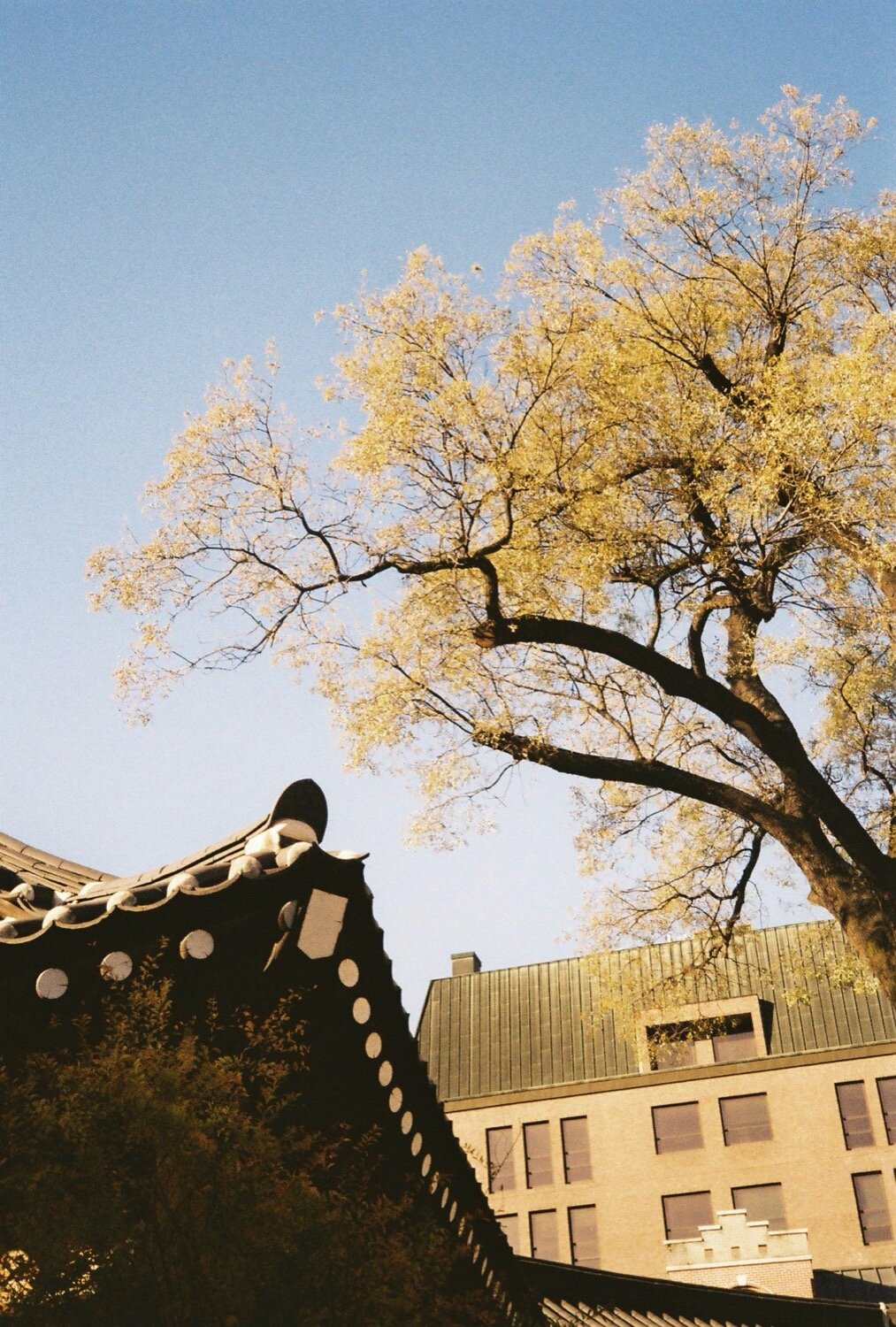 SEOUL ANGLICAN CATHEDRAL #6