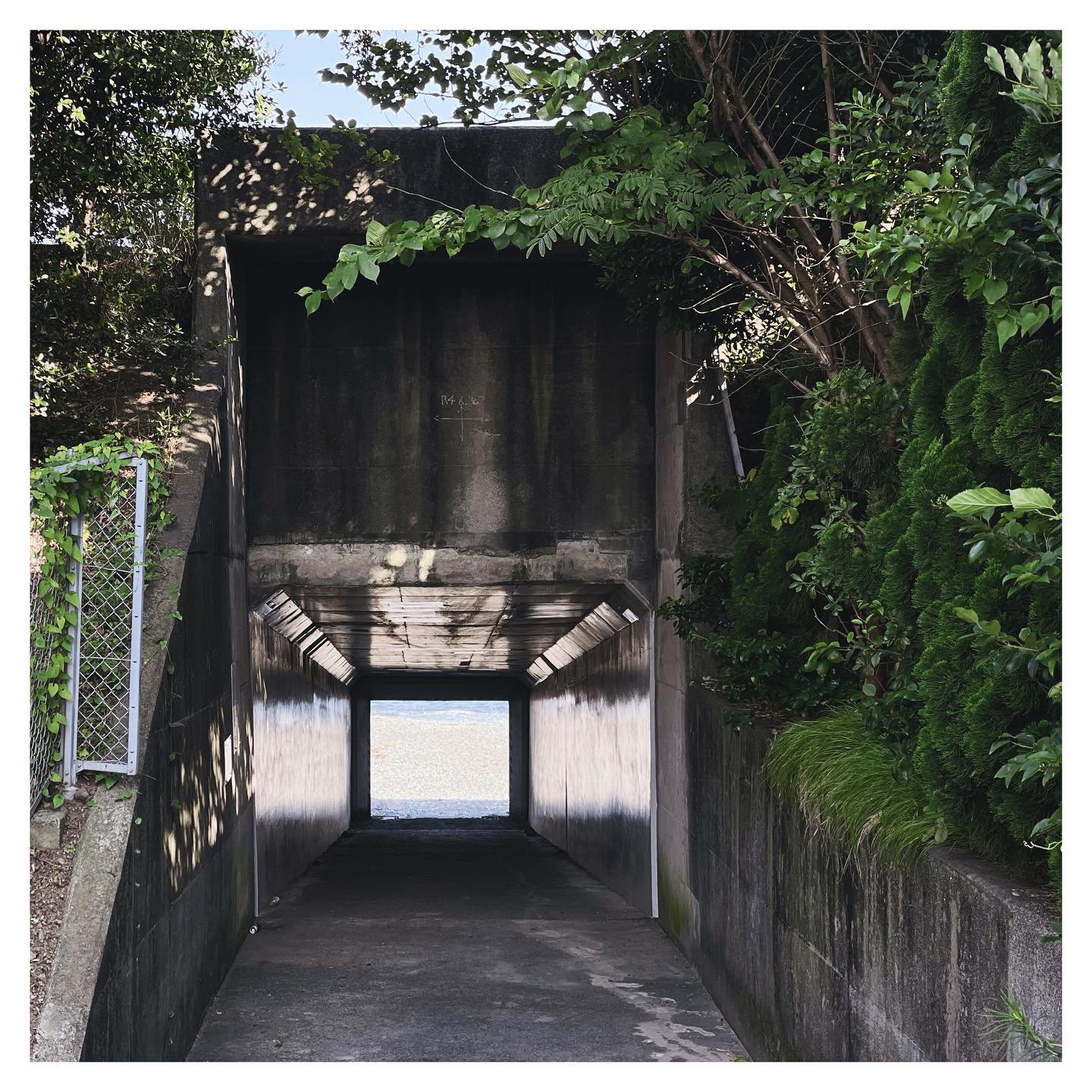 .
一個胡說八道 一個配合演出. 🪴

perhaps that&rsquo;s more than any wishes
made during the tunnel walk.

#tunnel #holdyourbreath