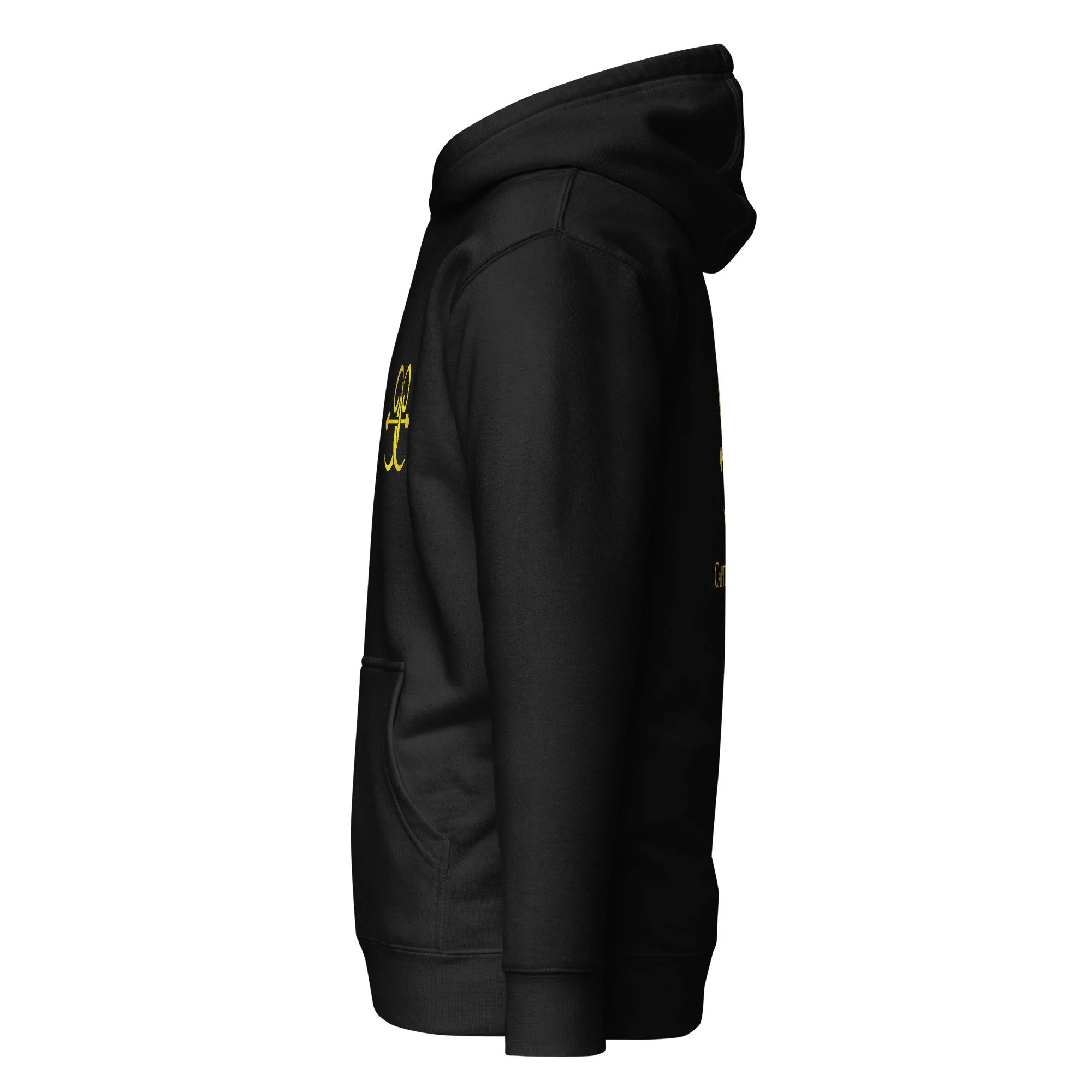 unisex-premium-pullover-hoodie-black-left-6a1d057f853a5.jpg